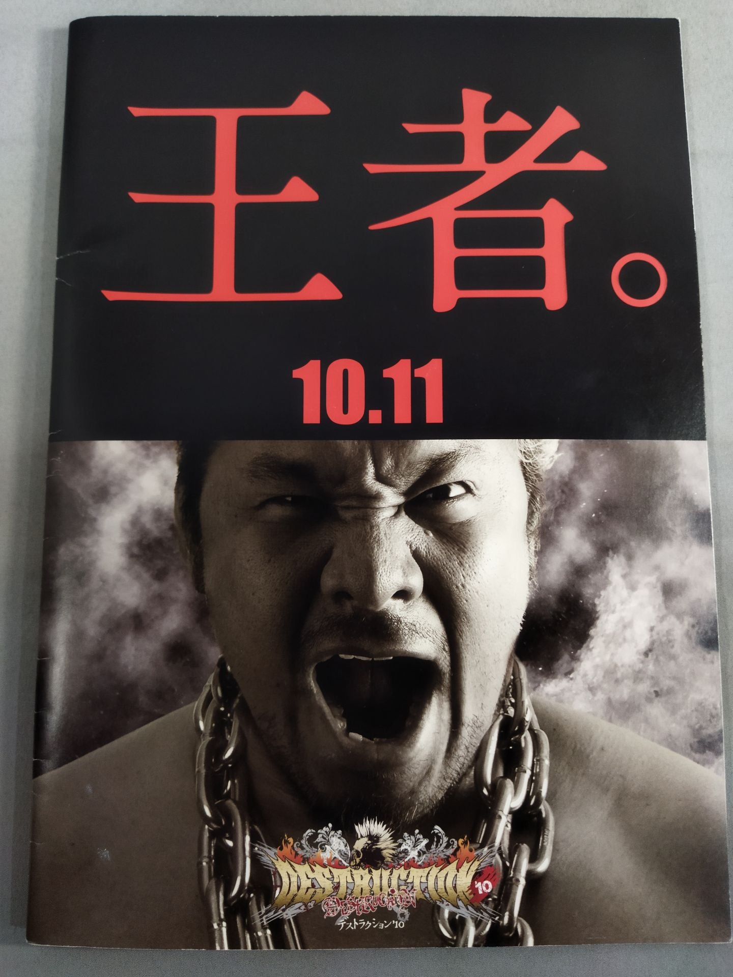 DESTRUCTION 2010 / DESTRUCTION '10