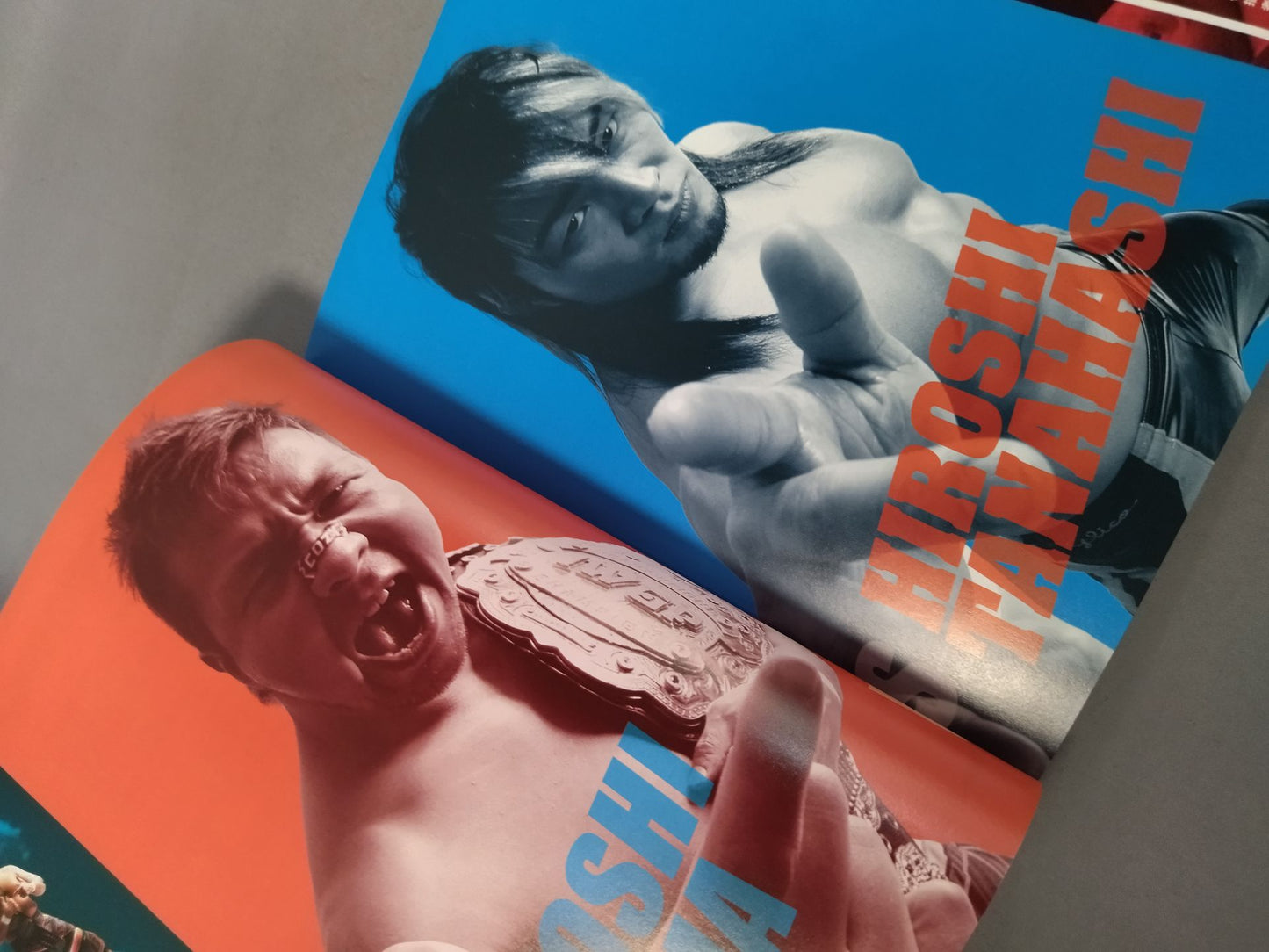 Wrestle Kingdom 5 / WRESTLE KINGDOM V.