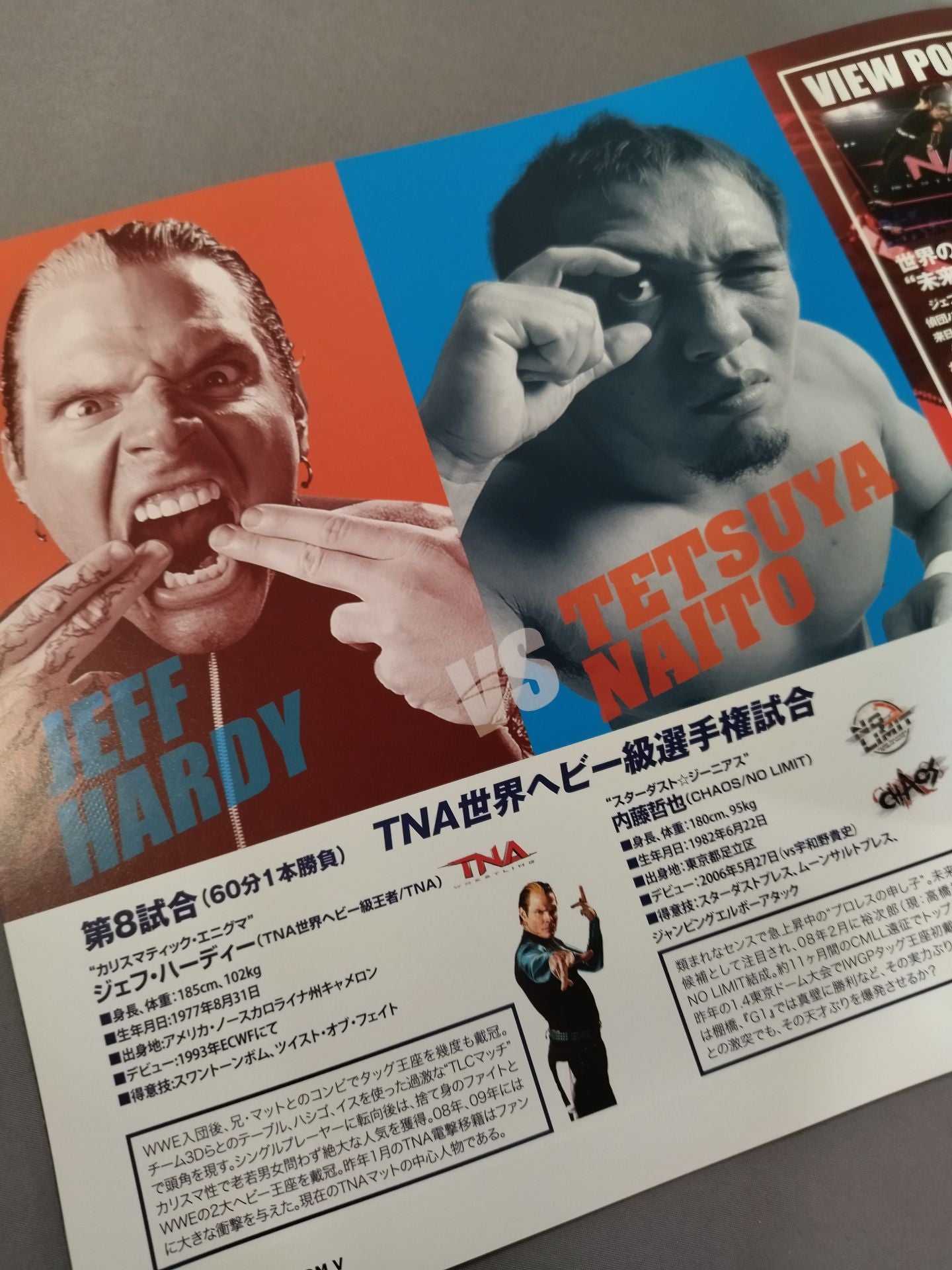 Wrestle Kingdom 5 / WRESTLE KINGDOM V.