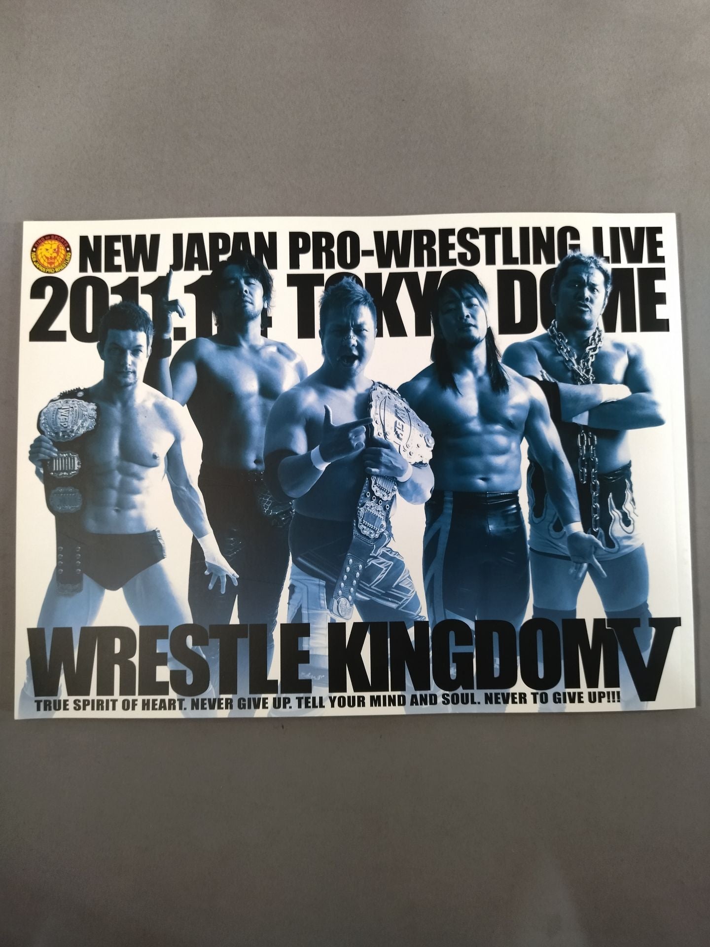 Wrestle Kingdom 5 / WRESTLE KINGDOM V.
