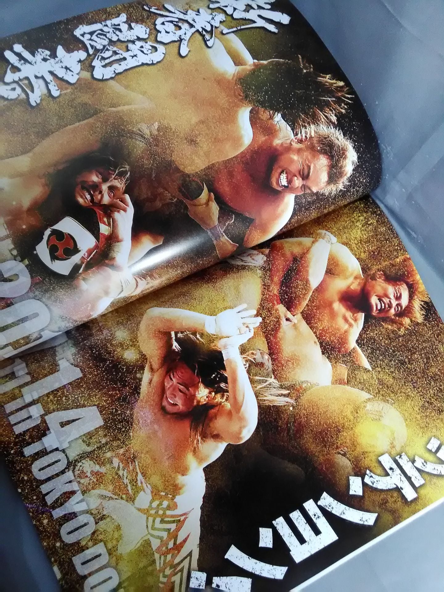 レッスルキングダム11 / WRESTLE KINGDOM 11