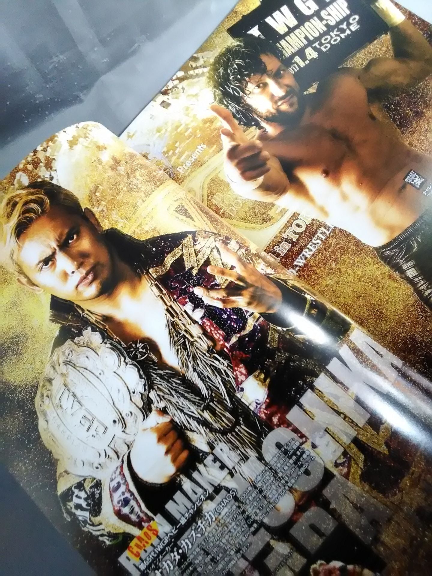 レッスルキングダム11 / WRESTLE KINGDOM 11