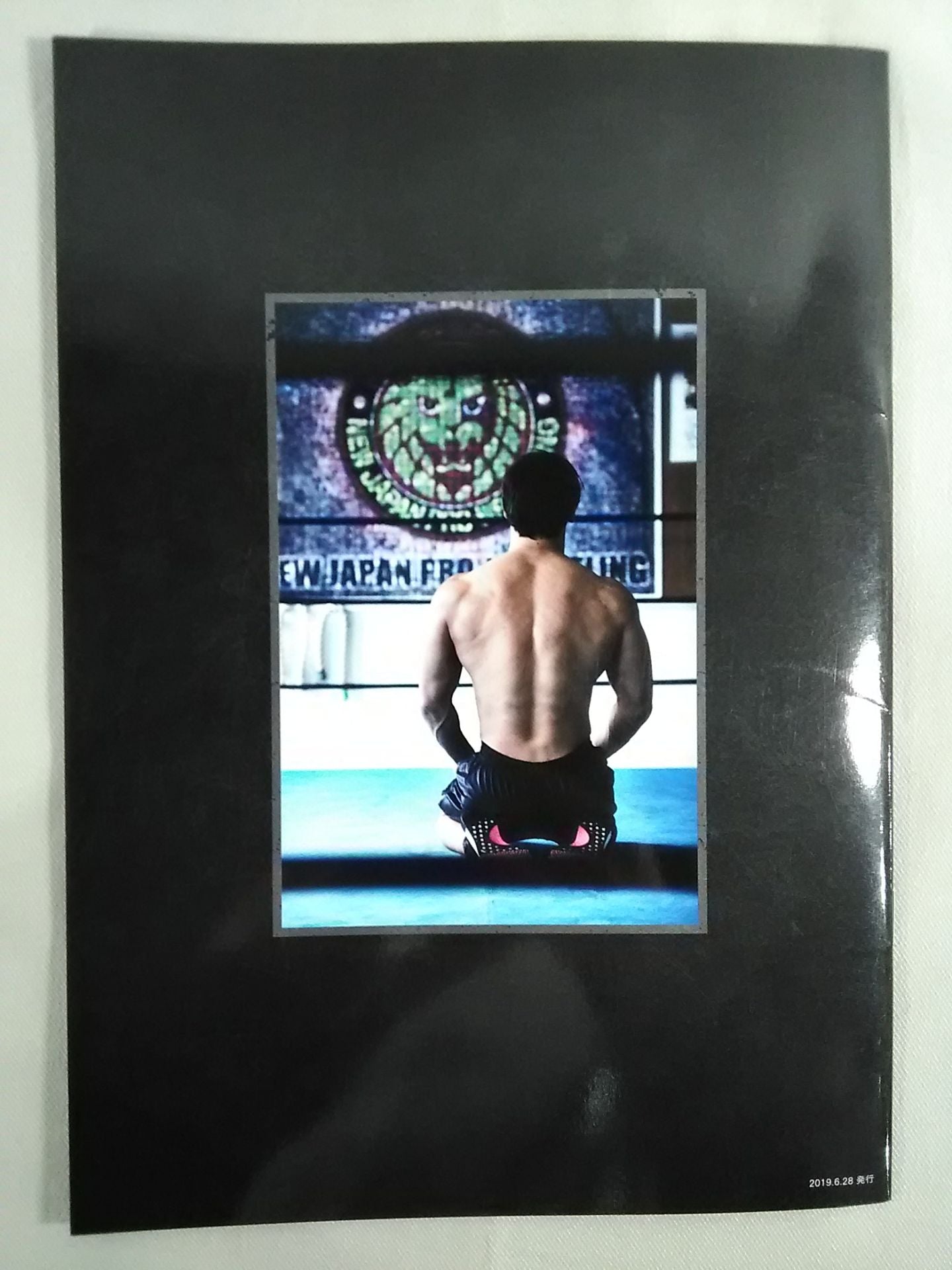 Team NJPW Official Fanclub Magazine Vol.21