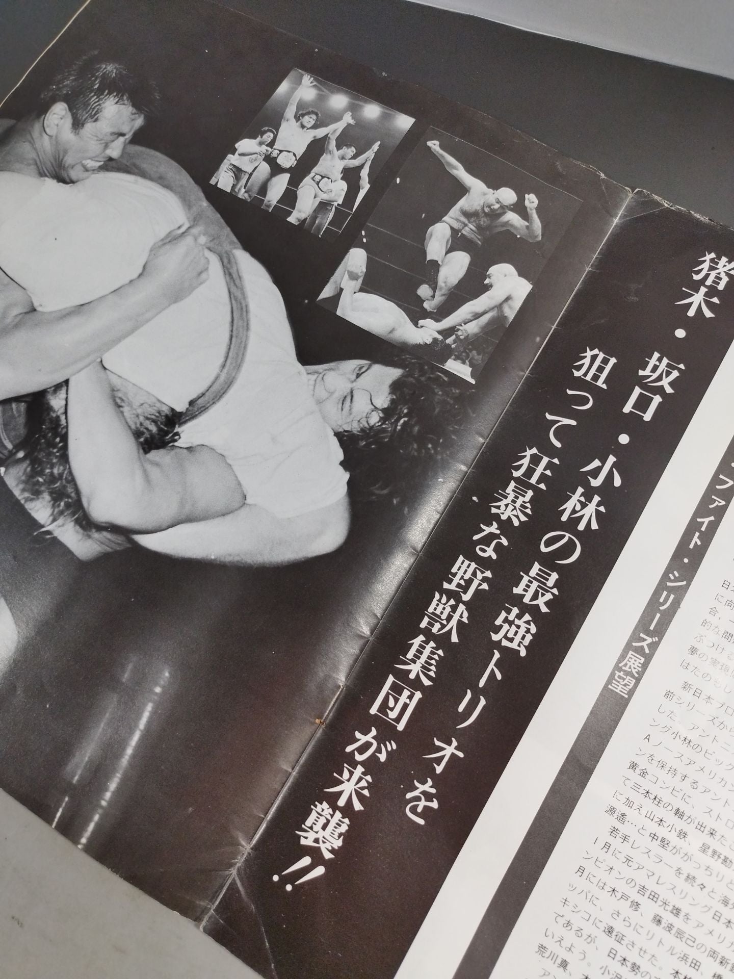 75 Summer Fight Series