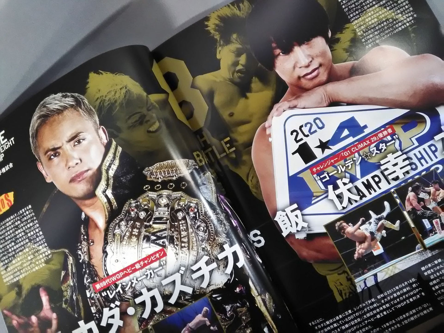 WRESTLE KINGDOM 14