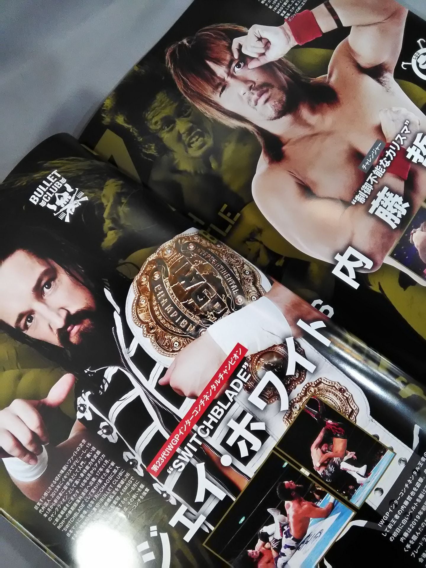 WRESTLE KINGDOM 14
