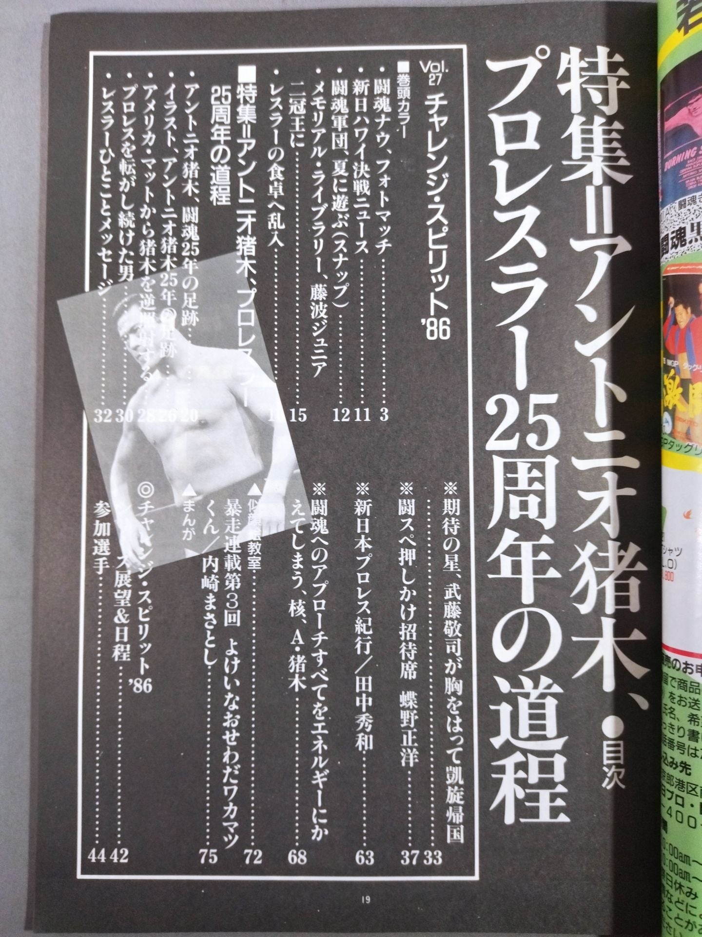 Fighting Spirit Special 27