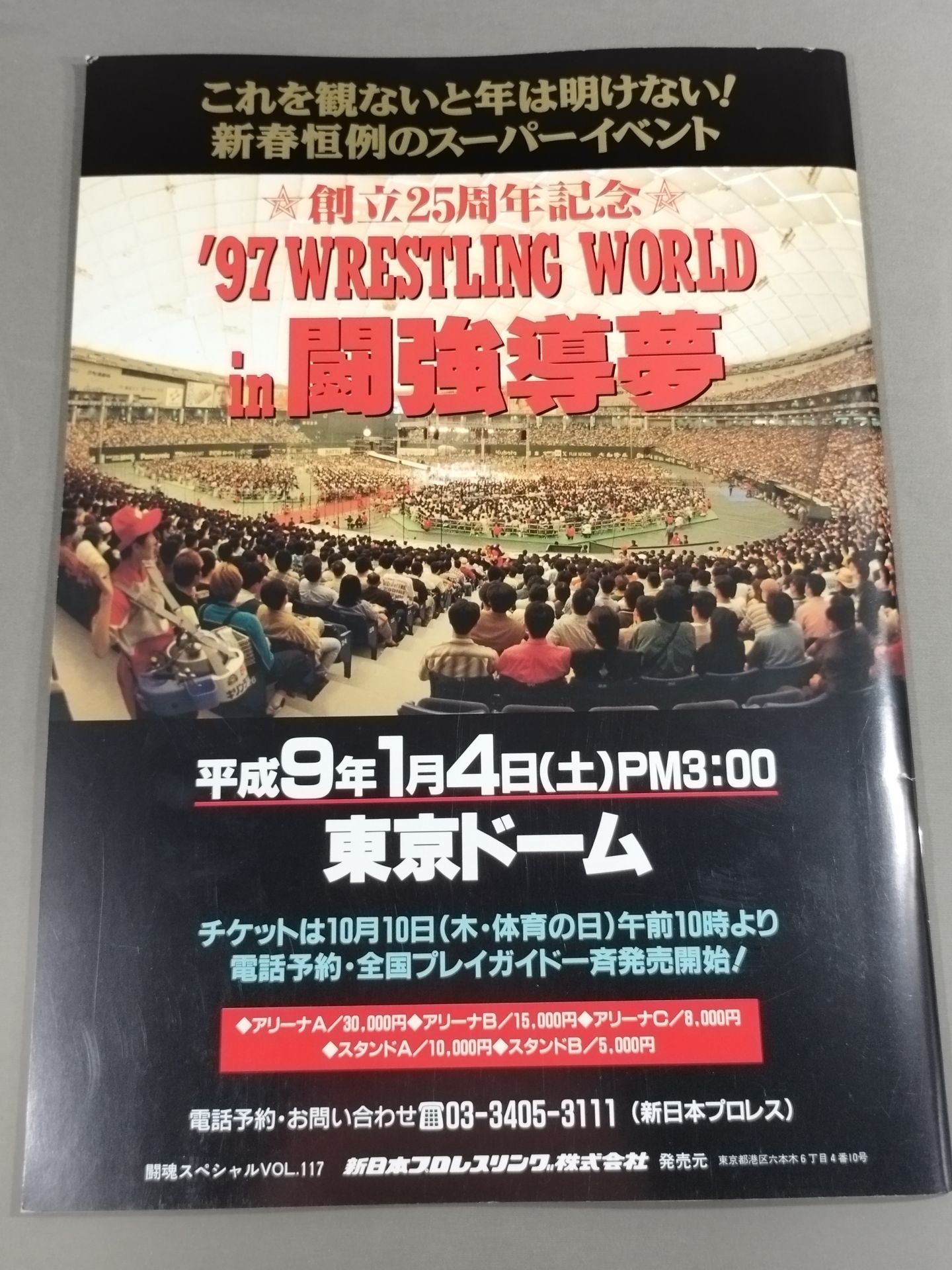 Fighting Spirit Special 117