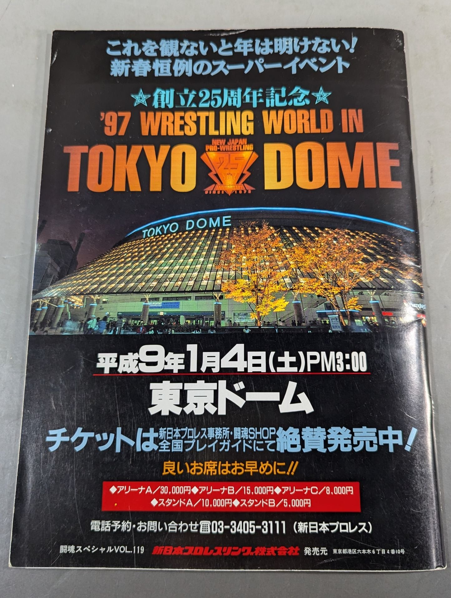 Fighting Spirit Special 119