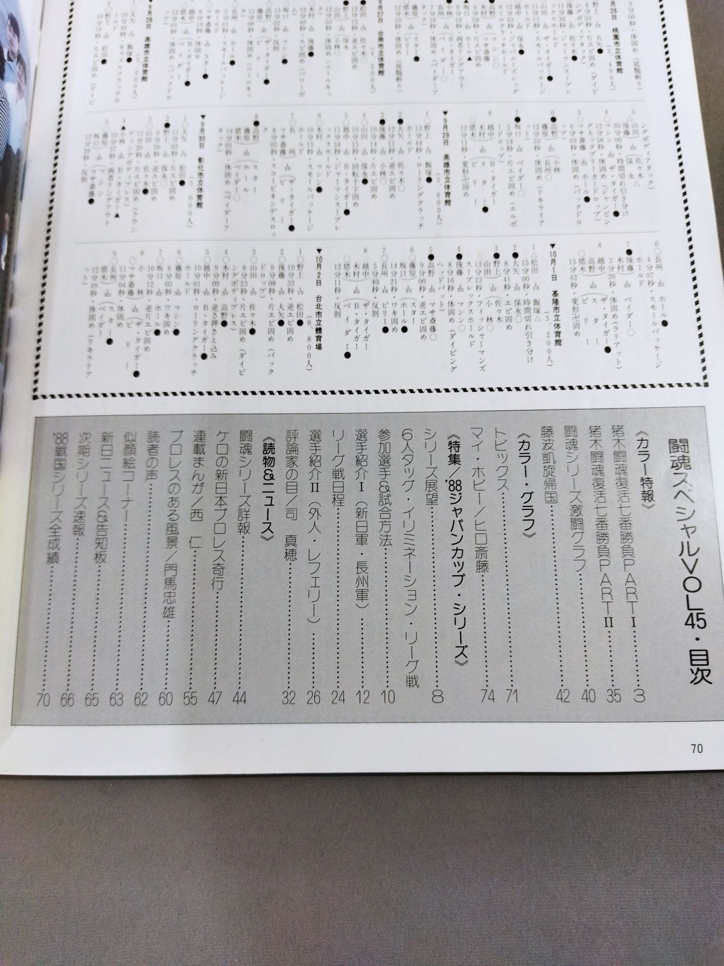 Fighting Spirit Special 45