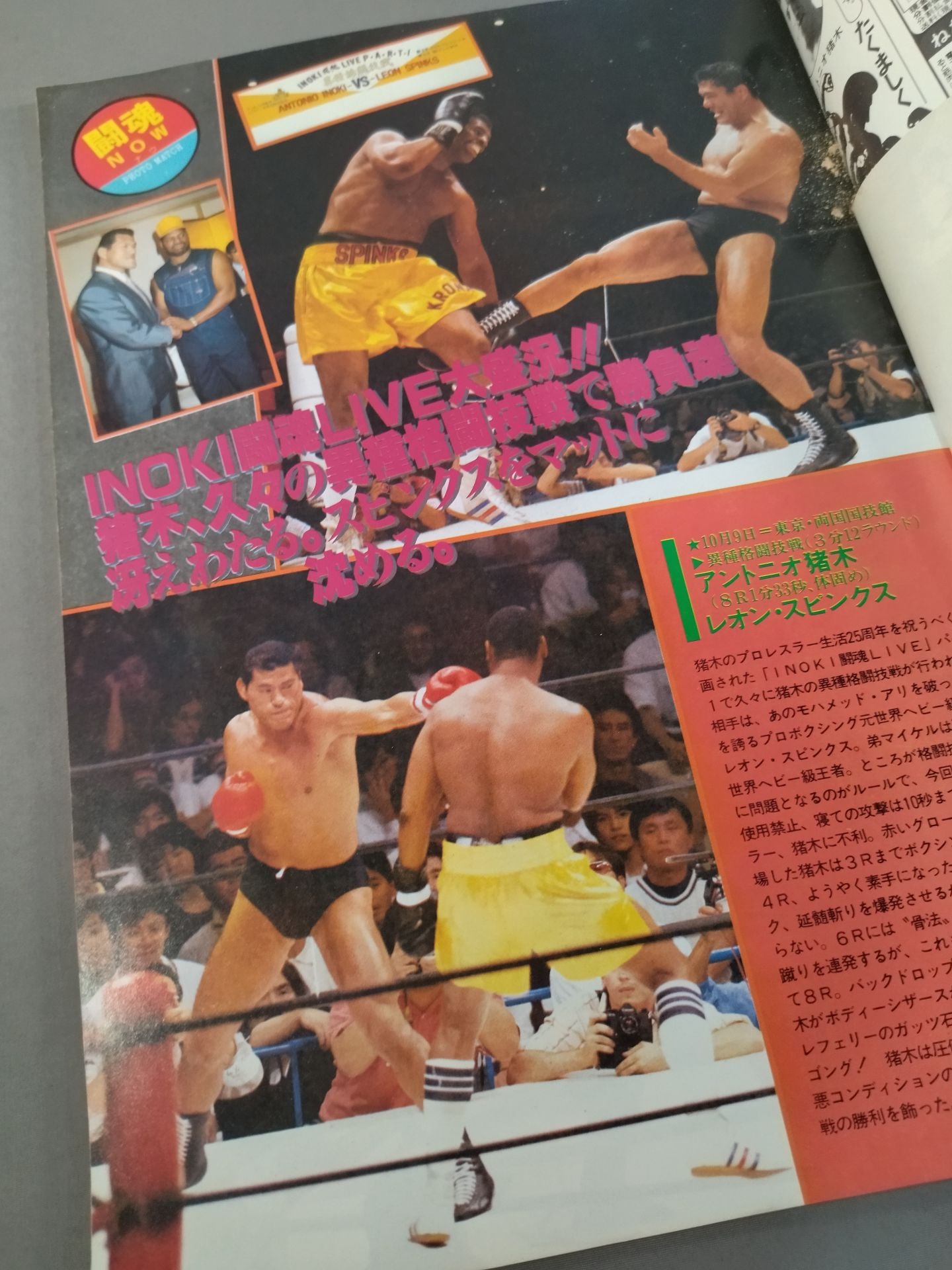 Fighting Spirit Special 29