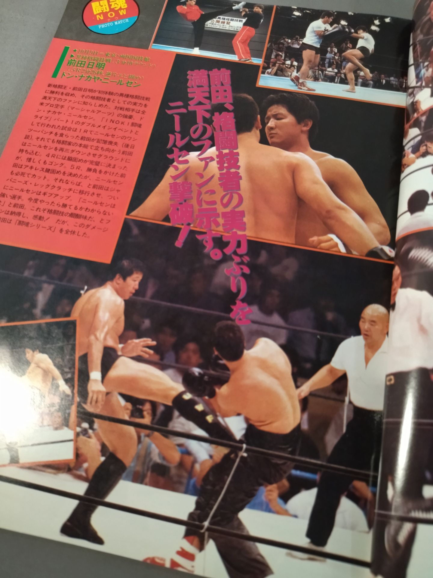 Fighting Spirit Special 29