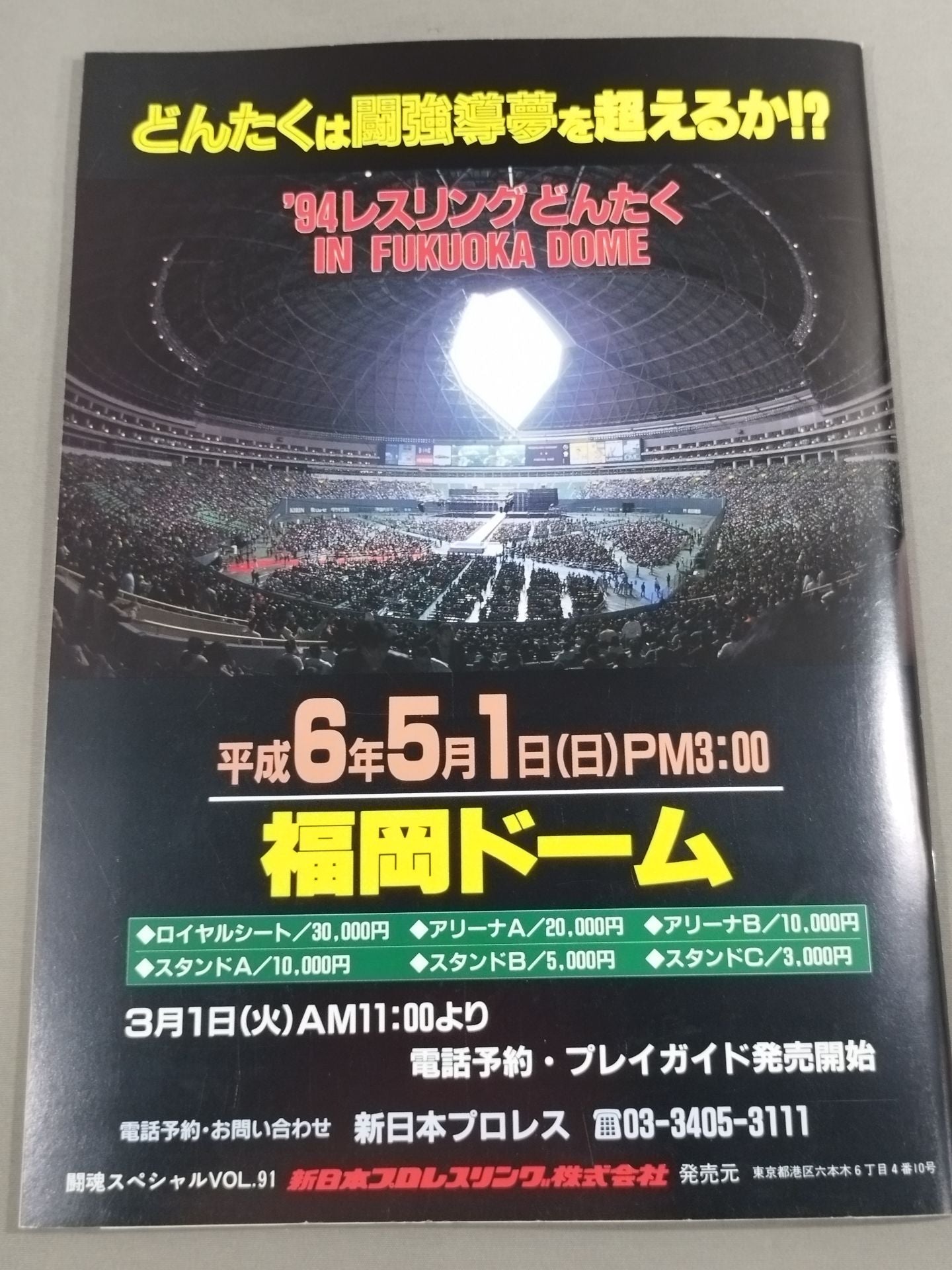 Fighting Spirit Special 91