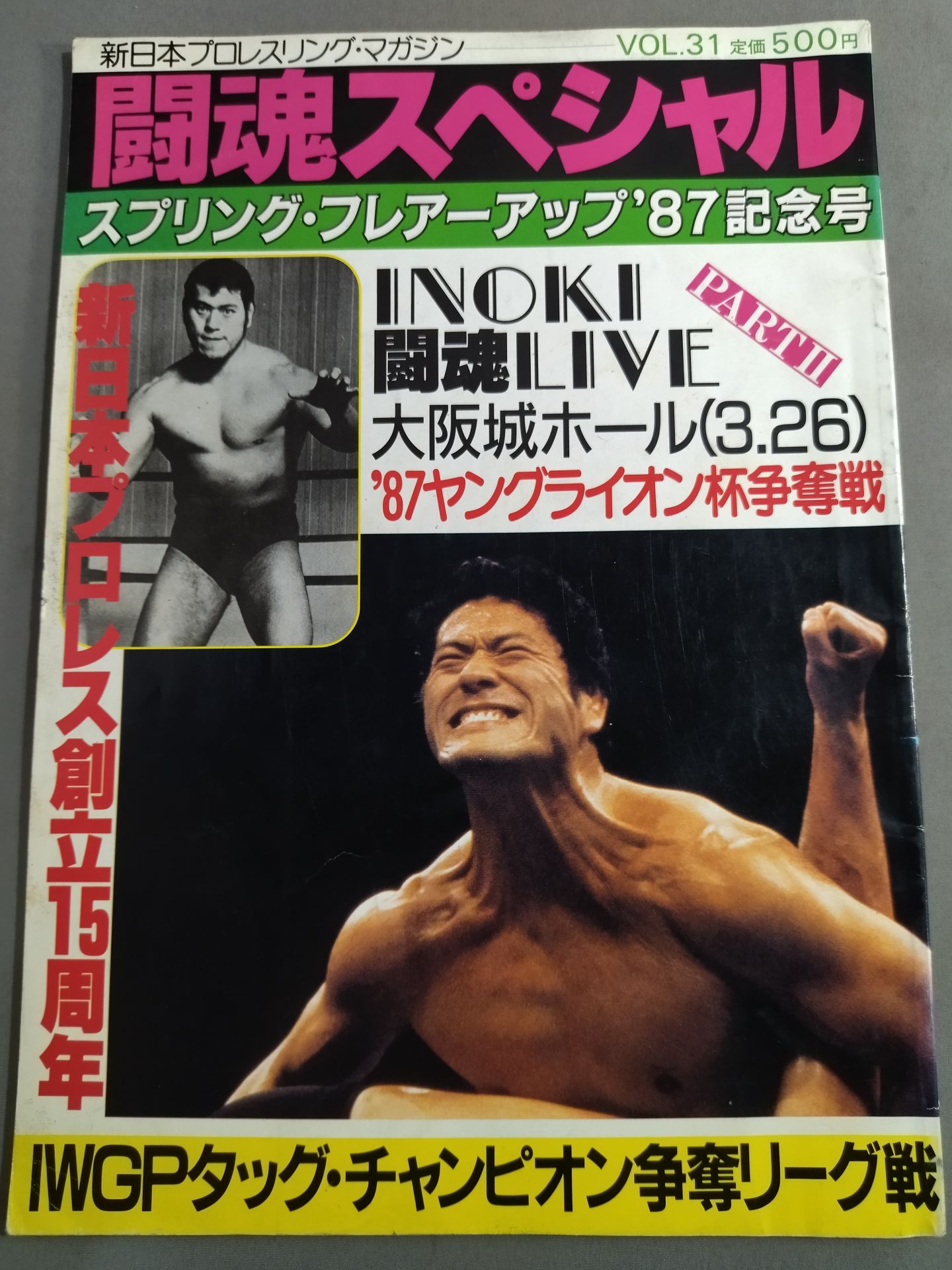Fighting Spirit Special 31