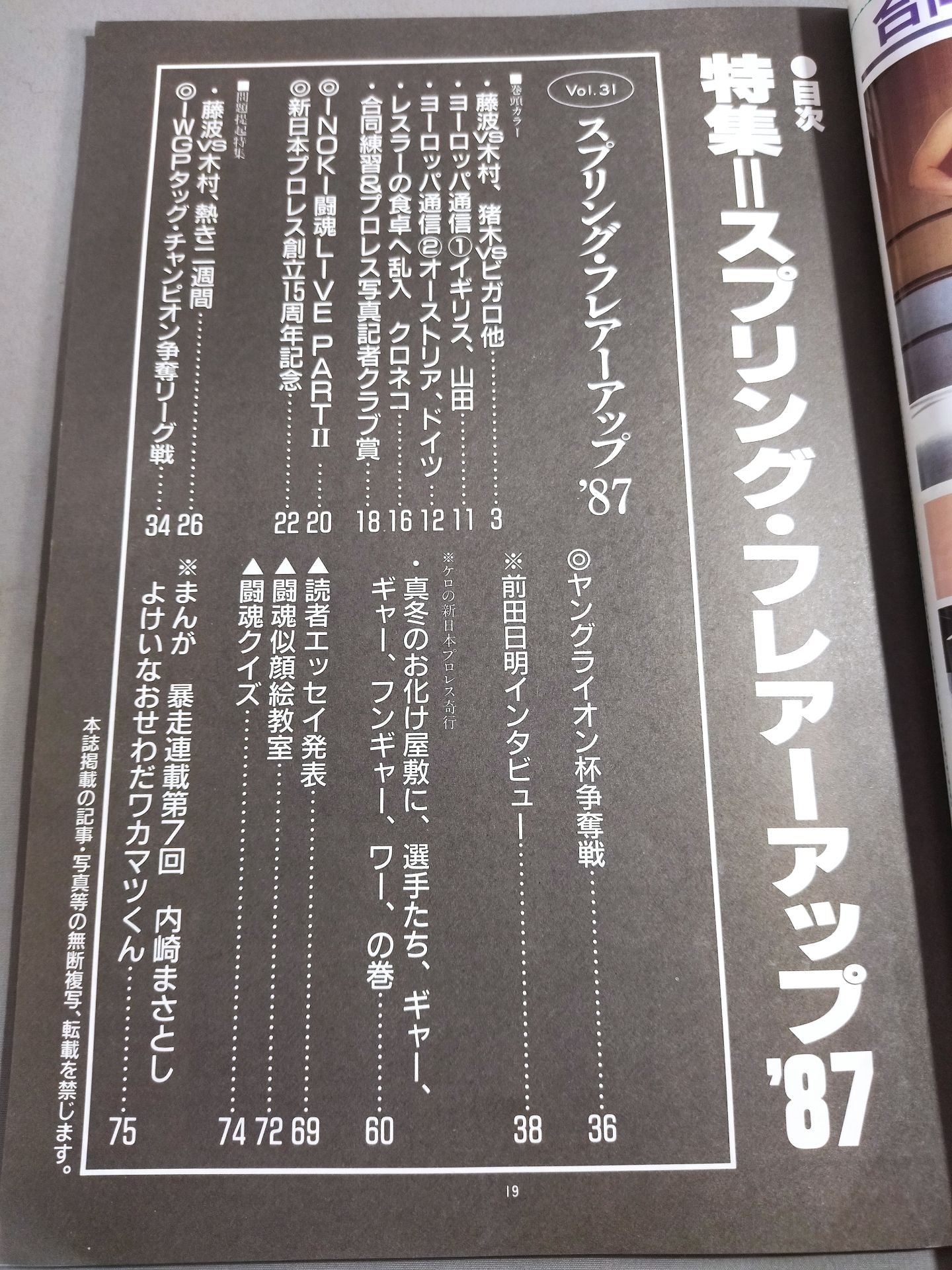 Fighting Spirit Special 31