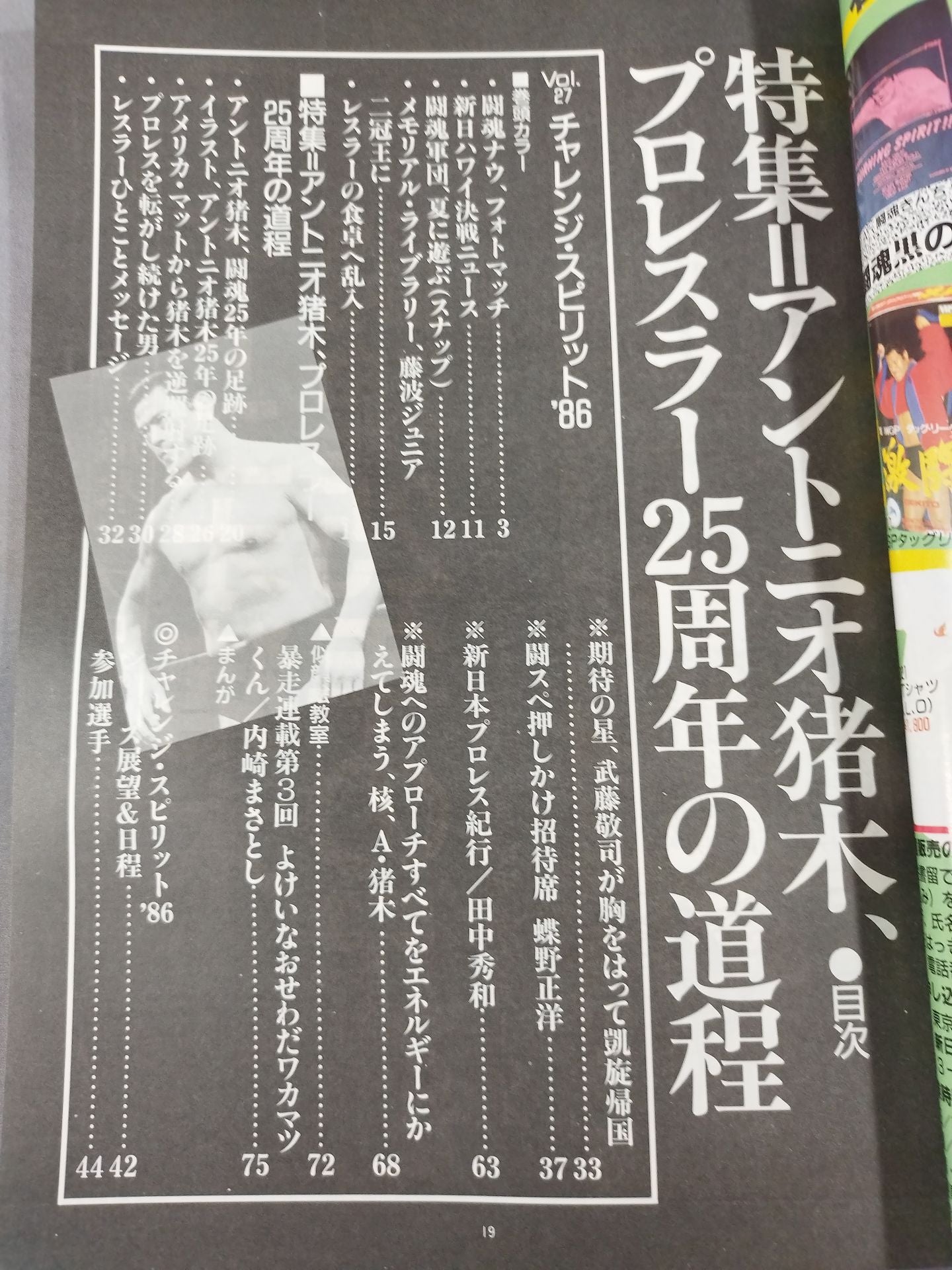 Fighting Spirit Special 27