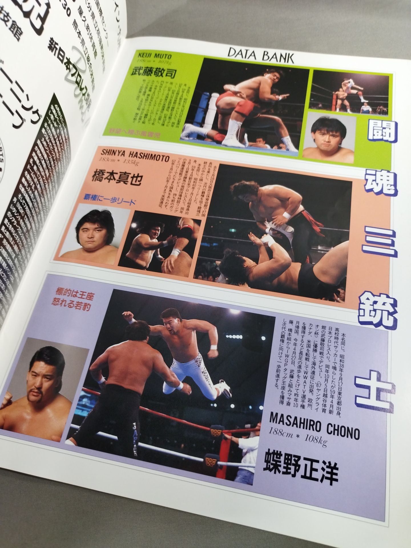 Fighting Spirit Special 59