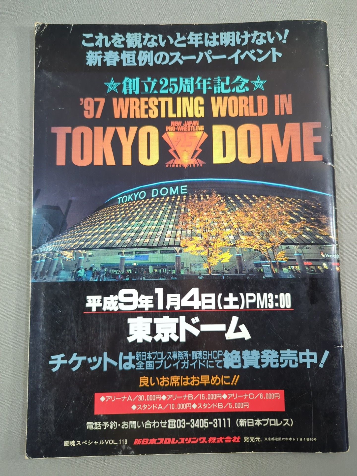 Soul of Fighting Special 119