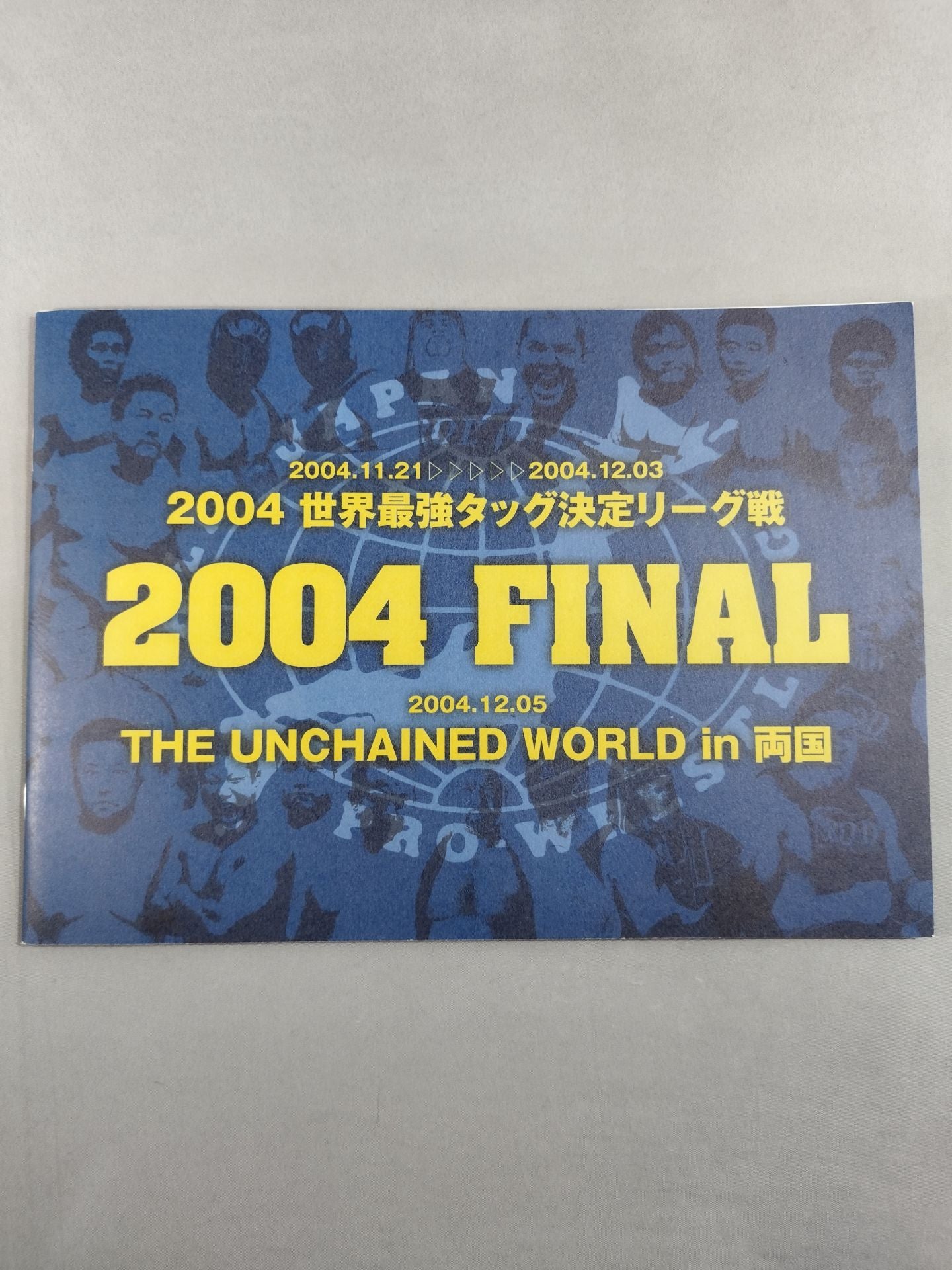 2004 Real World Tag League / 2004 FINAL