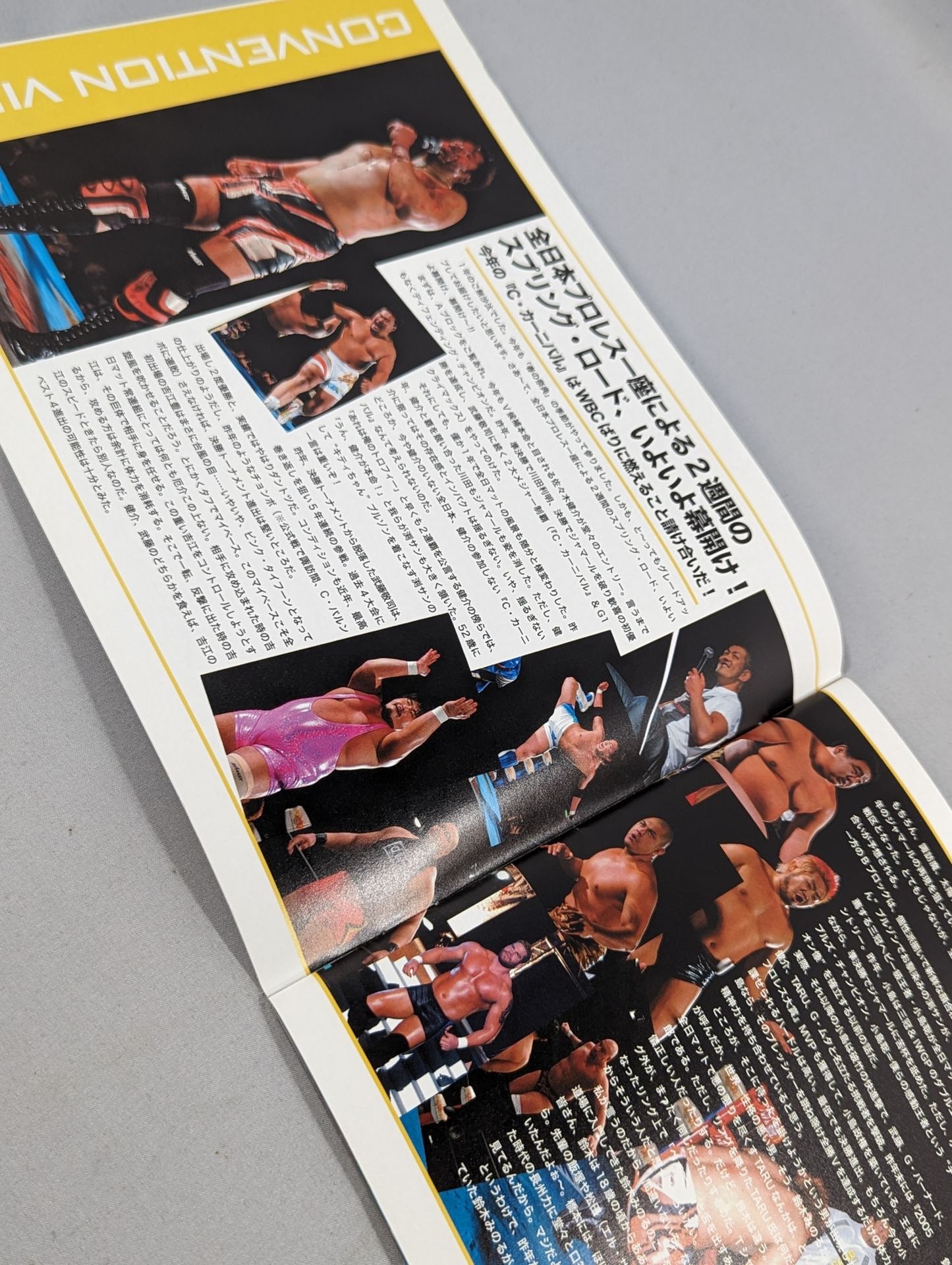 2006チャンピオン・カーニバル / 2006 CHAMPION CARNIVAL