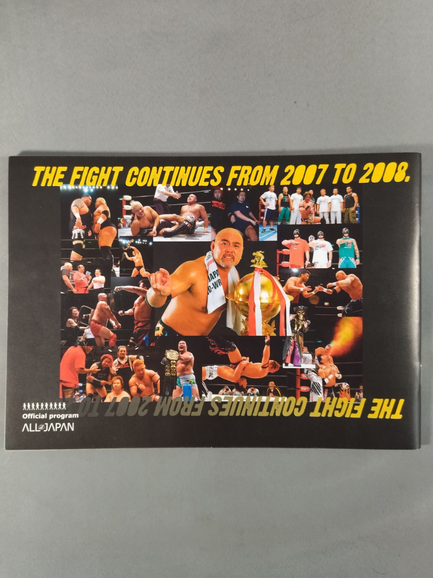 2007世界最強タッグ決定リーグ戦