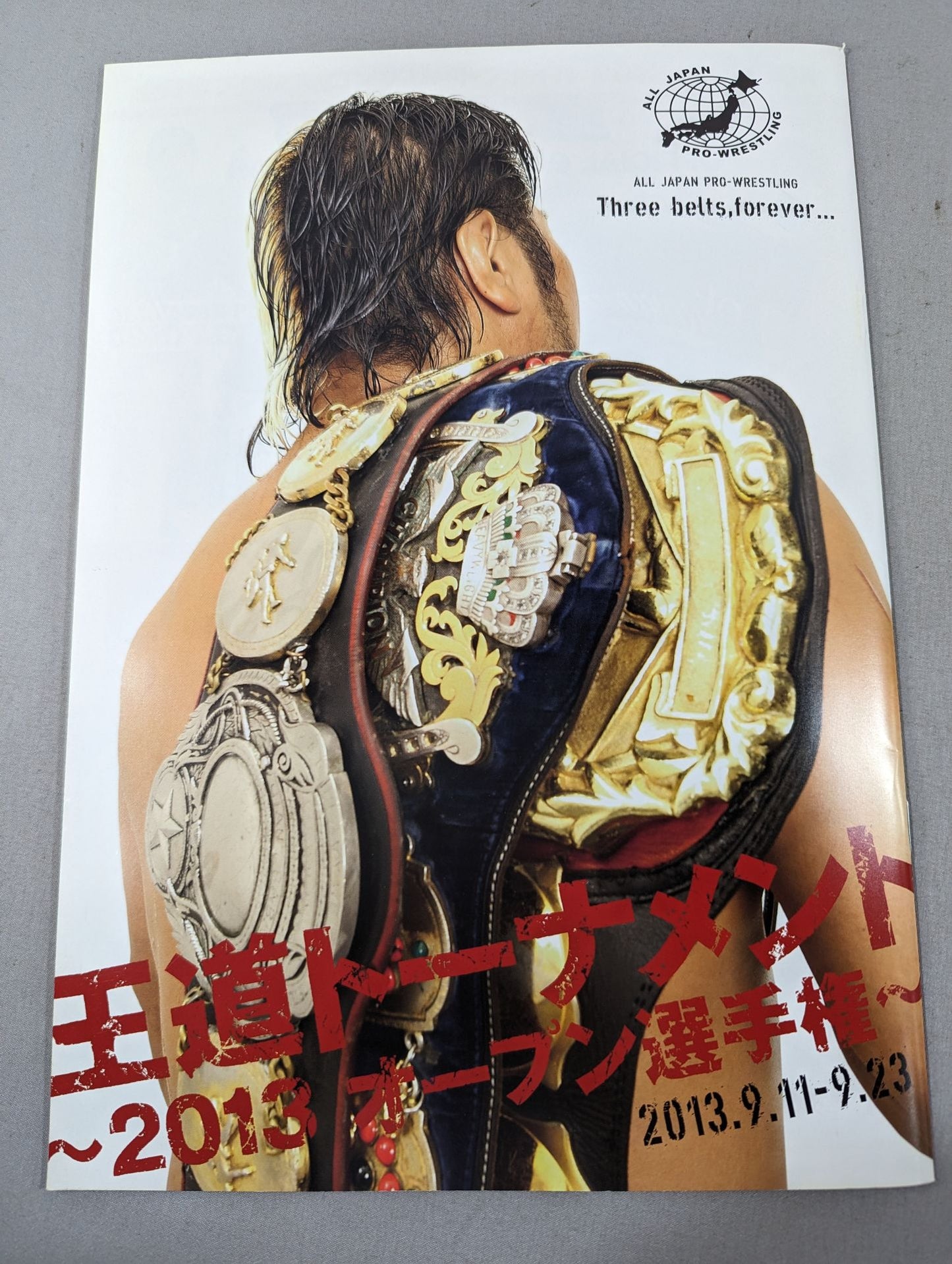 2013第1回王道トーナメント ~2013オープン選手権~