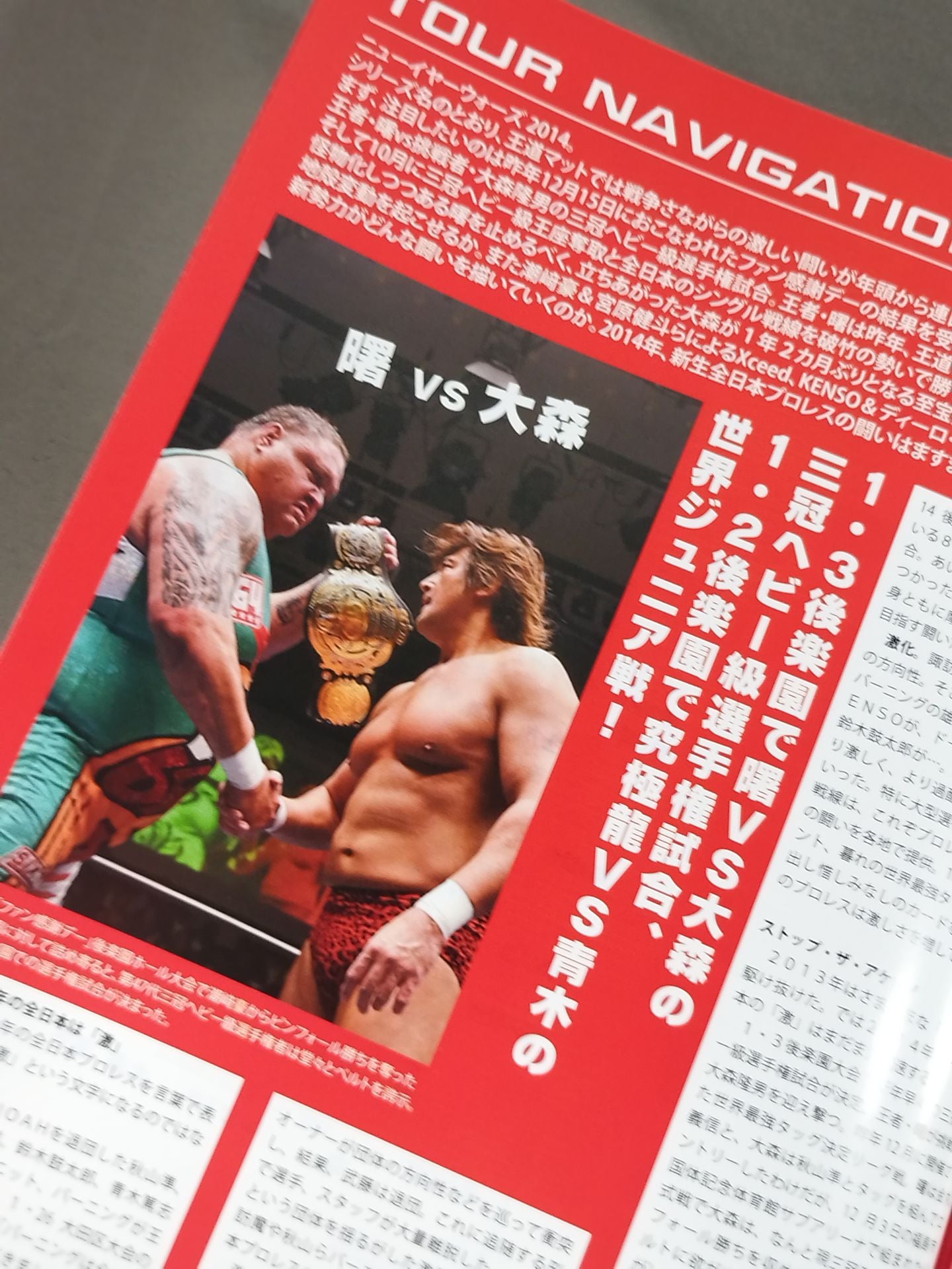 2014ニューイヤーウォーズ