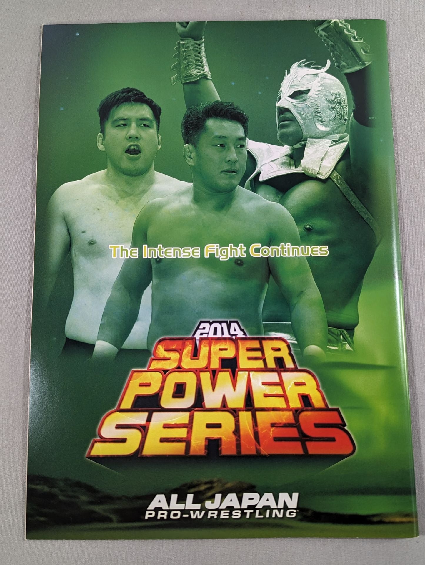 2014スーパーパワーシリーズ