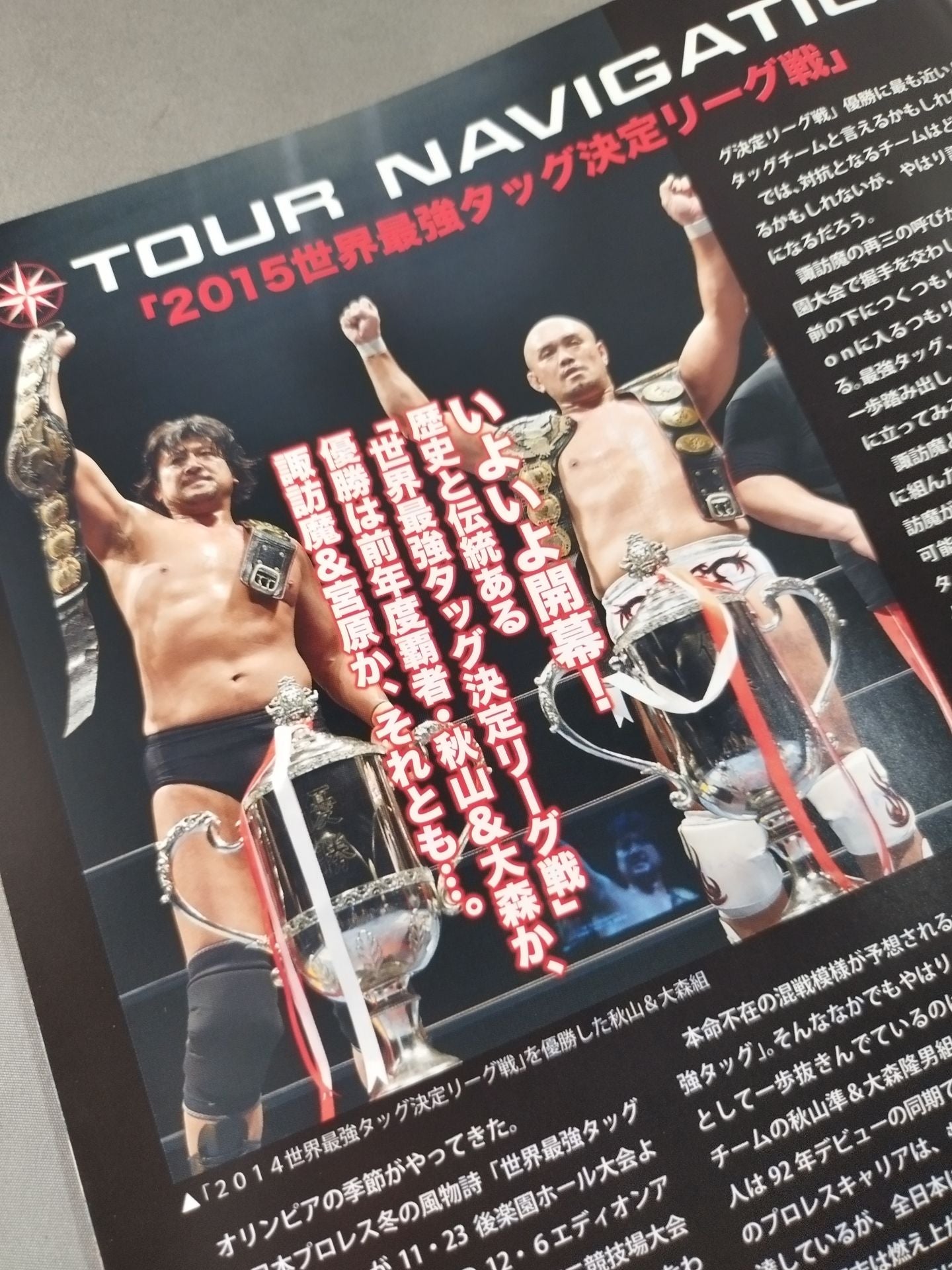 2015世界最強タッグ決定リーグ戦