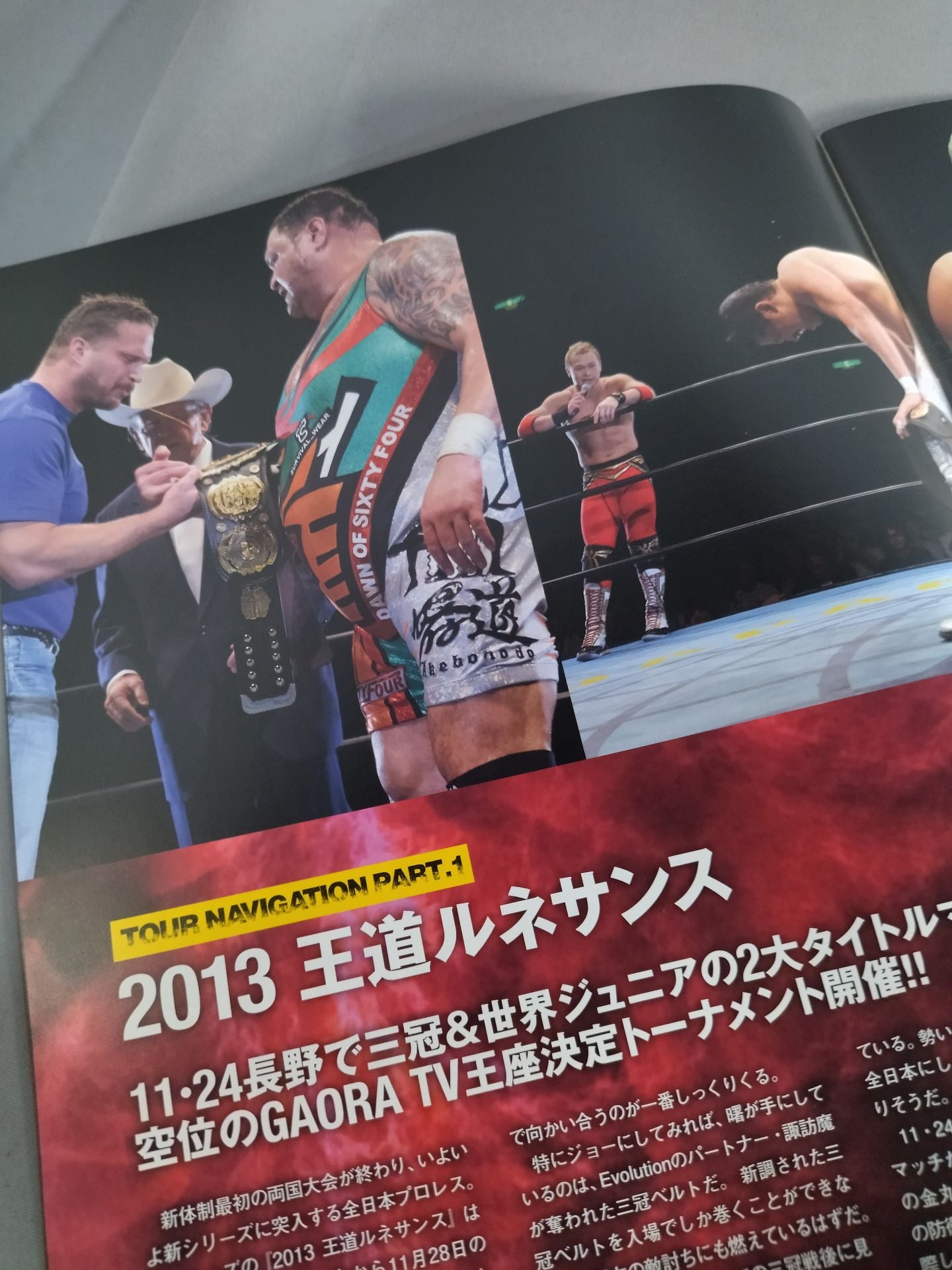 2013王道ルネサンス / 2013世界最強タッグリーグ戦