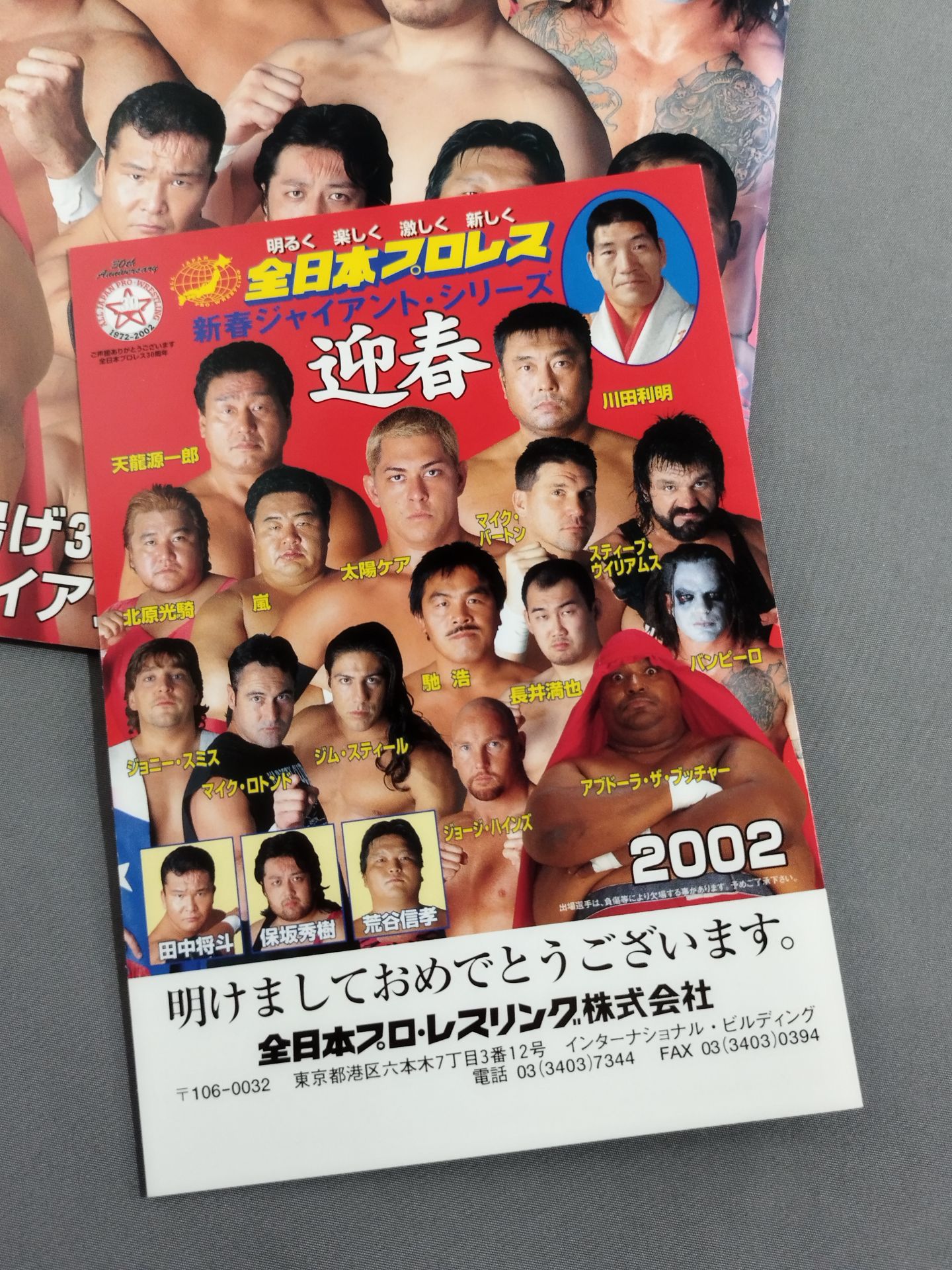 2002 New Year Giant Series / 30th Anniversary Special Project Vol. 1