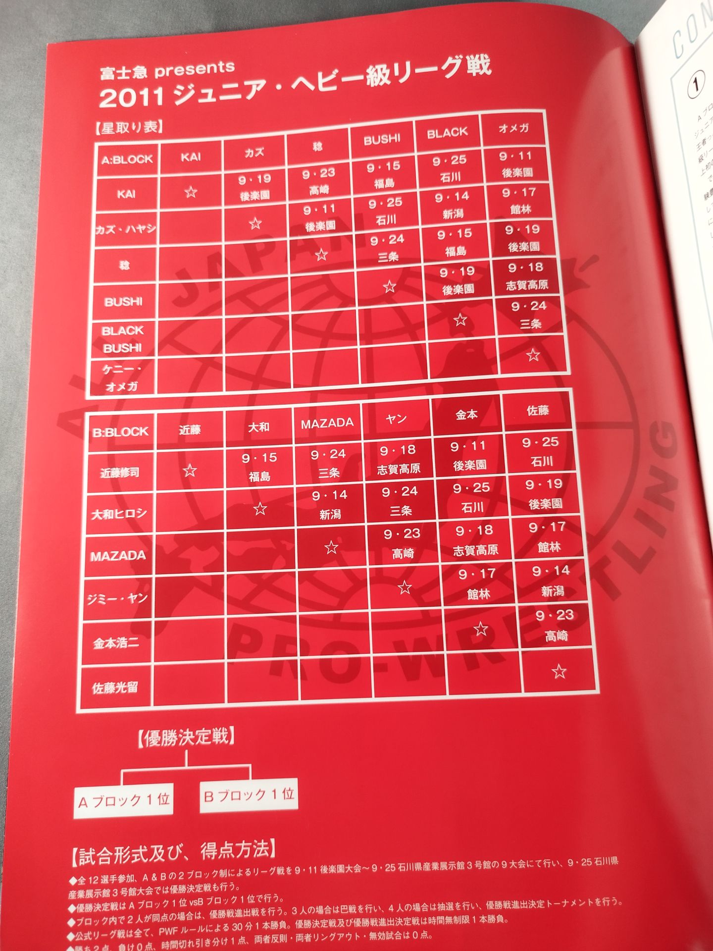 2011フラッシングツアー / 2011 FLASHING TOUR