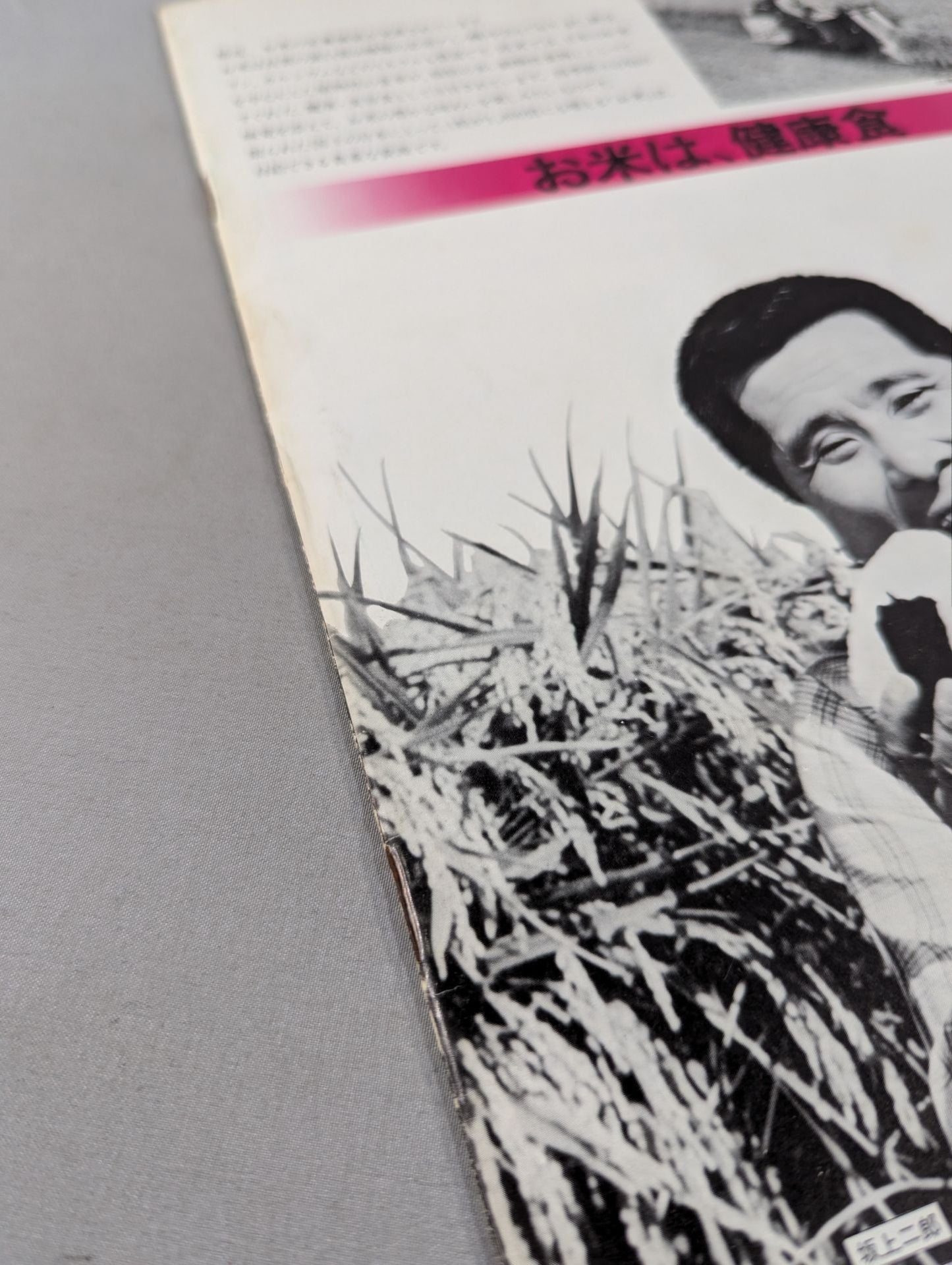 79ブラックパワーシリーズ