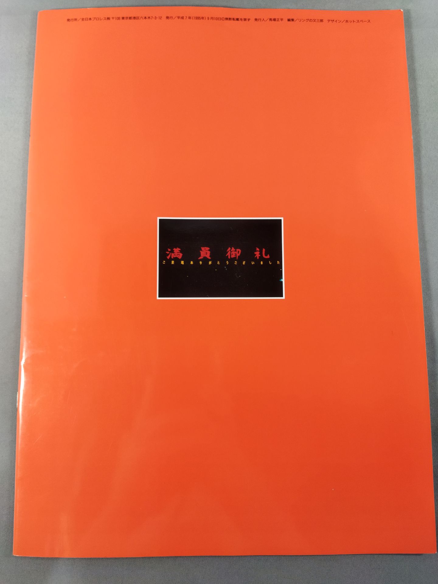 95サマーアクション・シリーズⅡ /“晩夏”燃焼宣言IN武道館