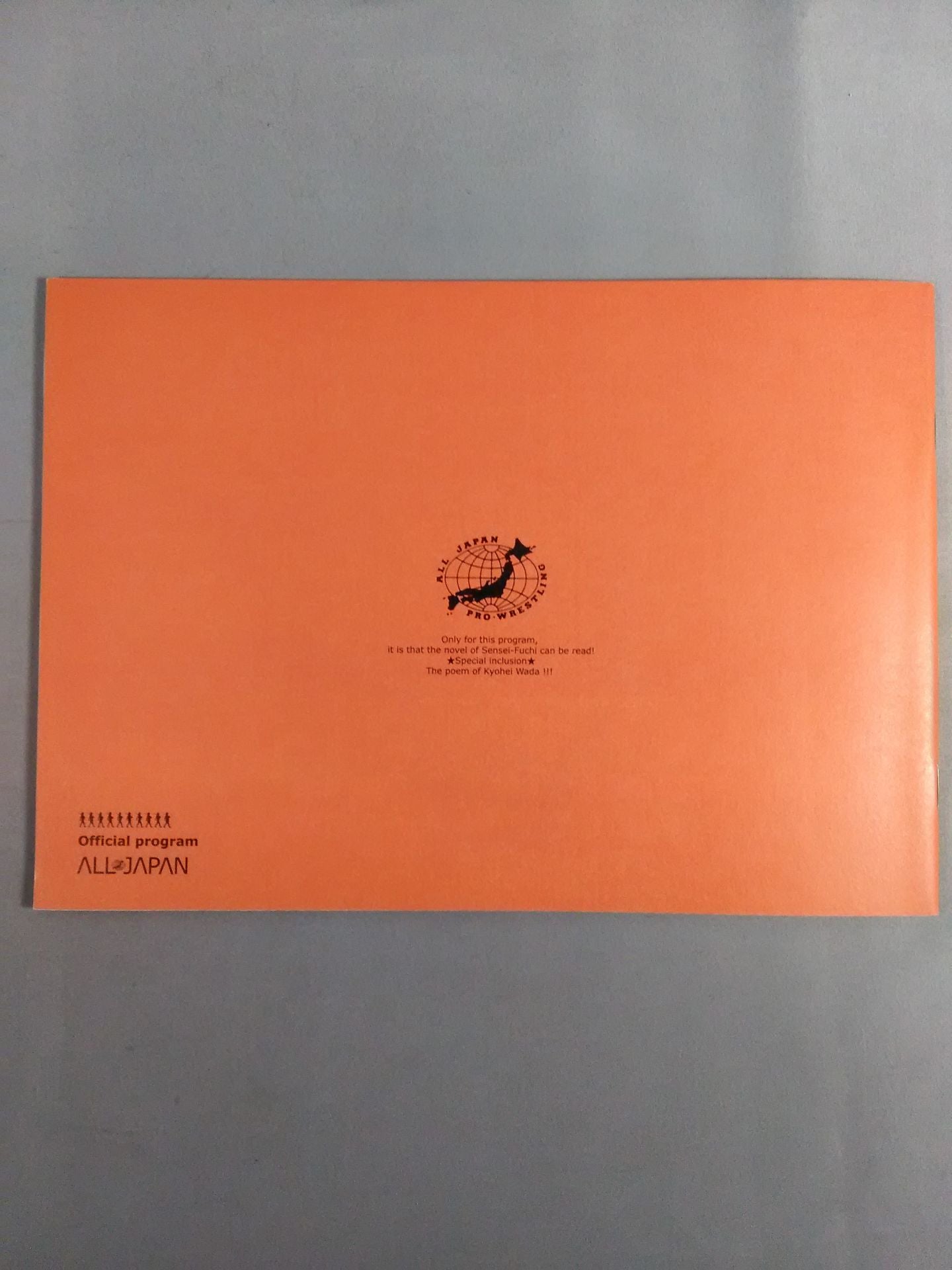 2005ホールドアウトツアー / HOLD OUT TOUR 2005