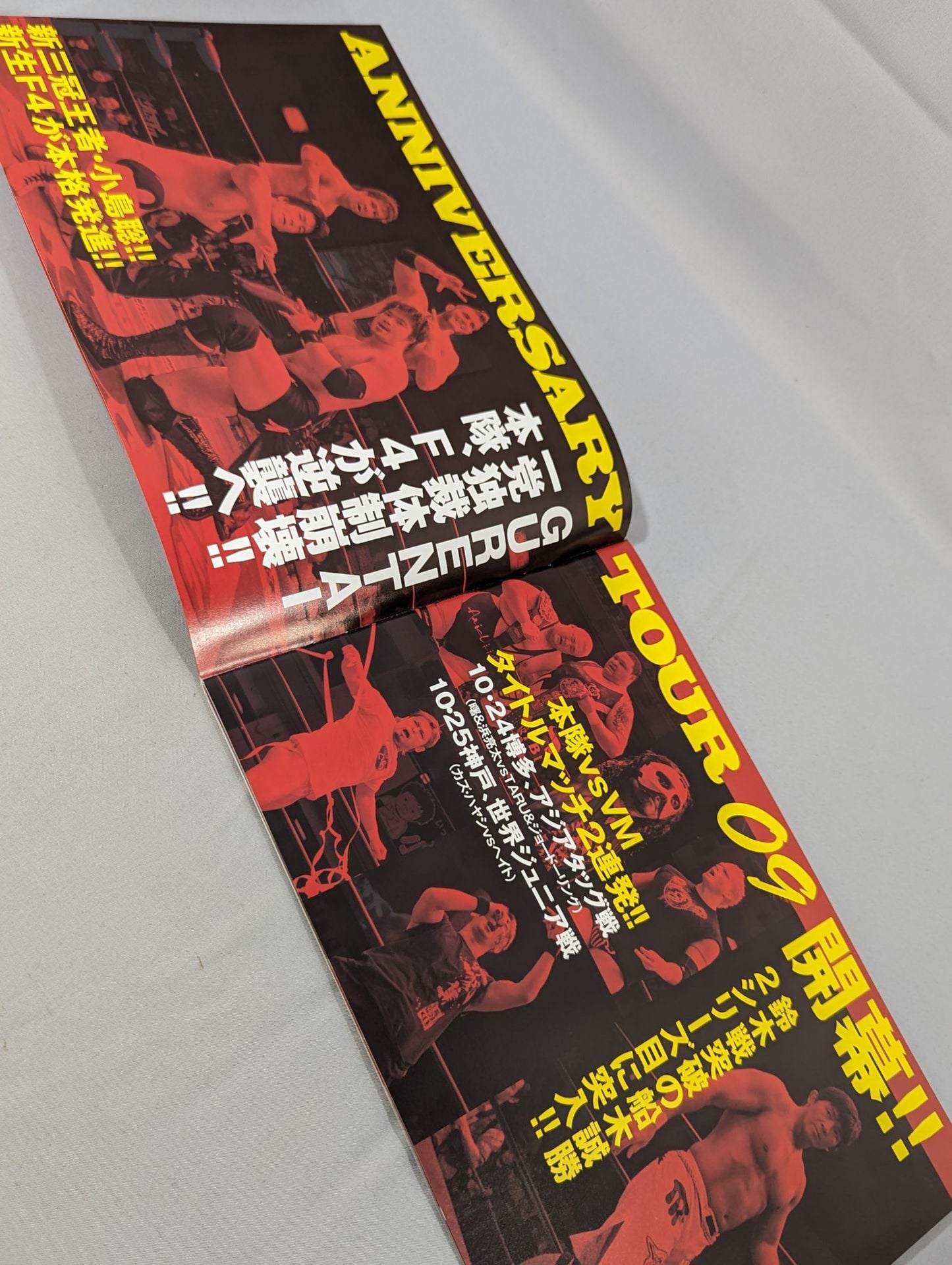 2009アニバーサリーツアー / ANNIVERSARY TOUR 09