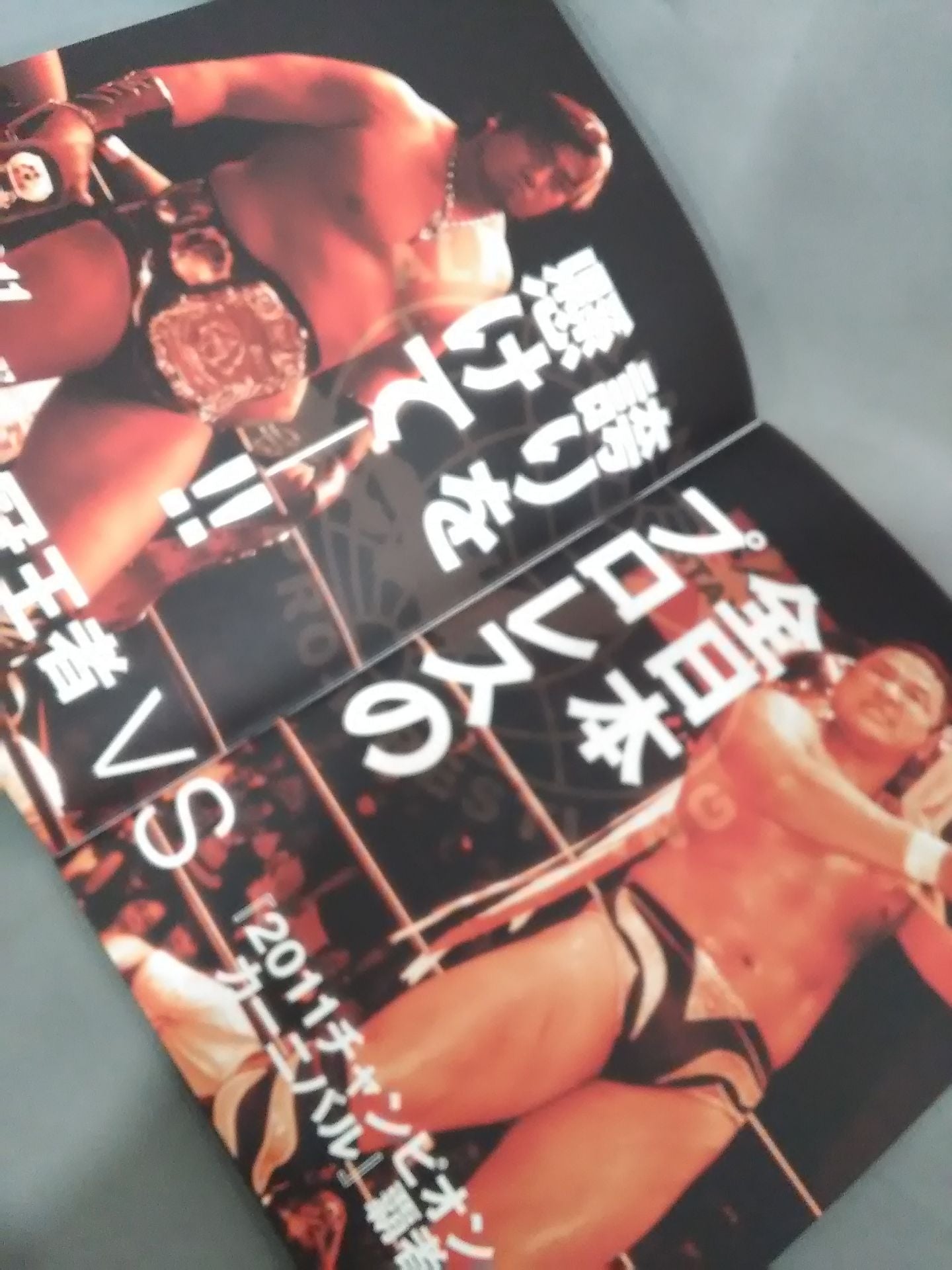 2011プロレスLOVE in 両国 Vol.12