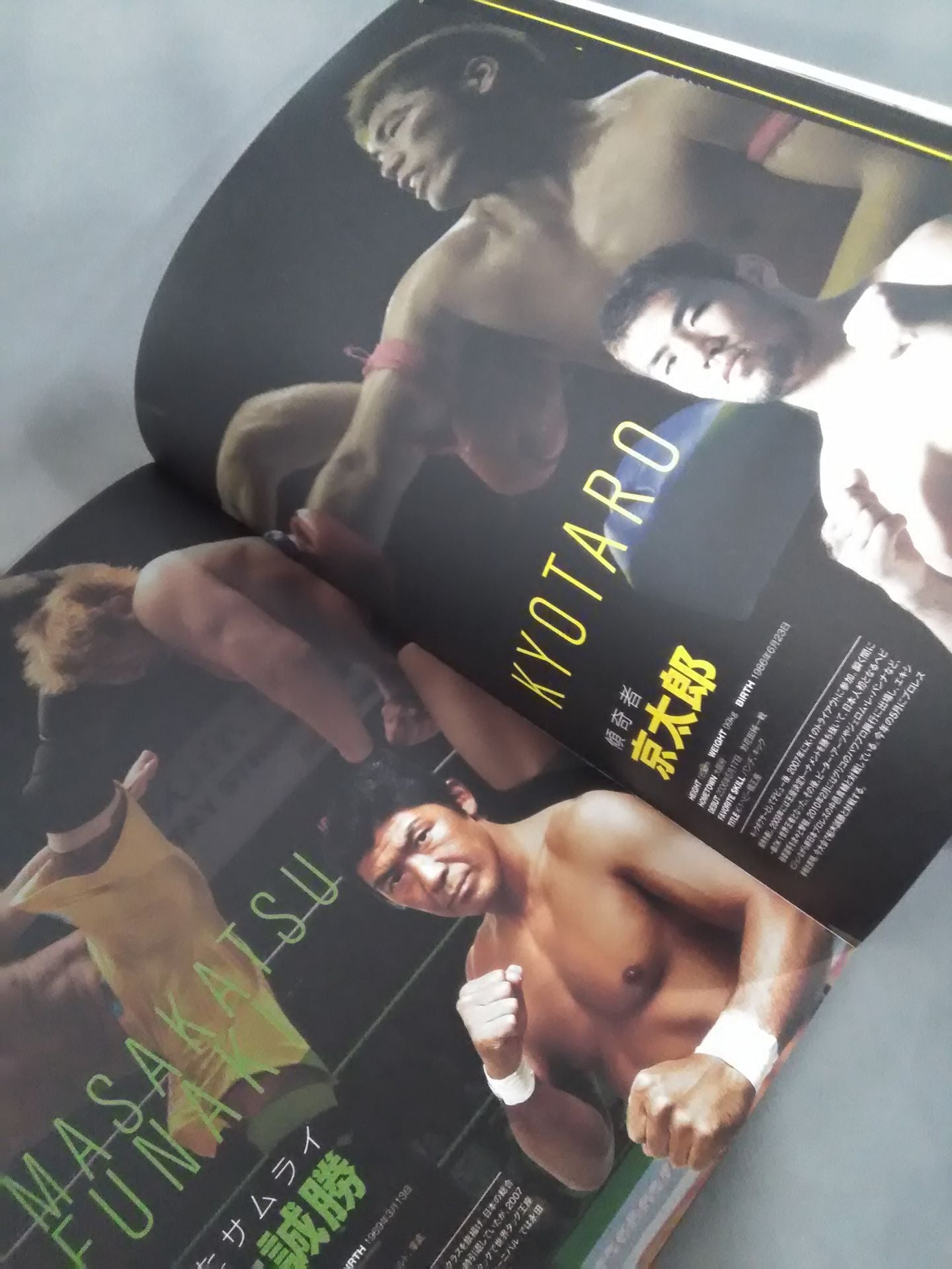 2011プロレスLOVE in 両国 Vol.12