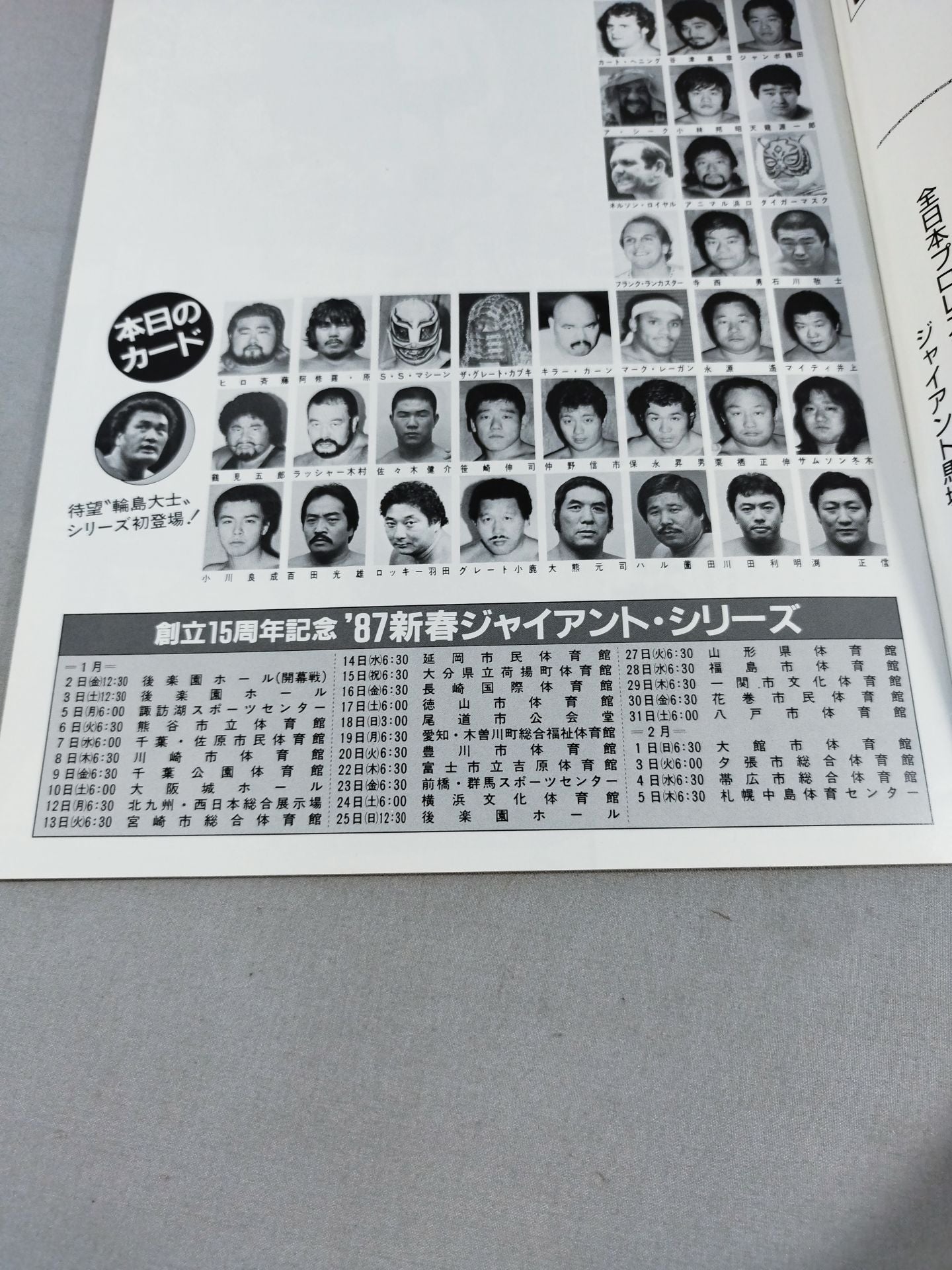 15th Anniversary 87 New Year Giant Series