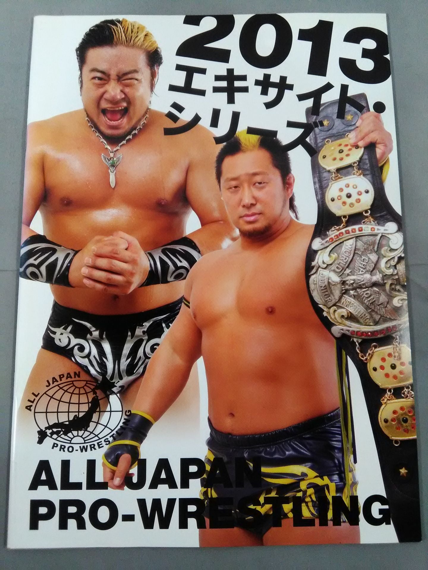 2013エキサイト・シリーズ