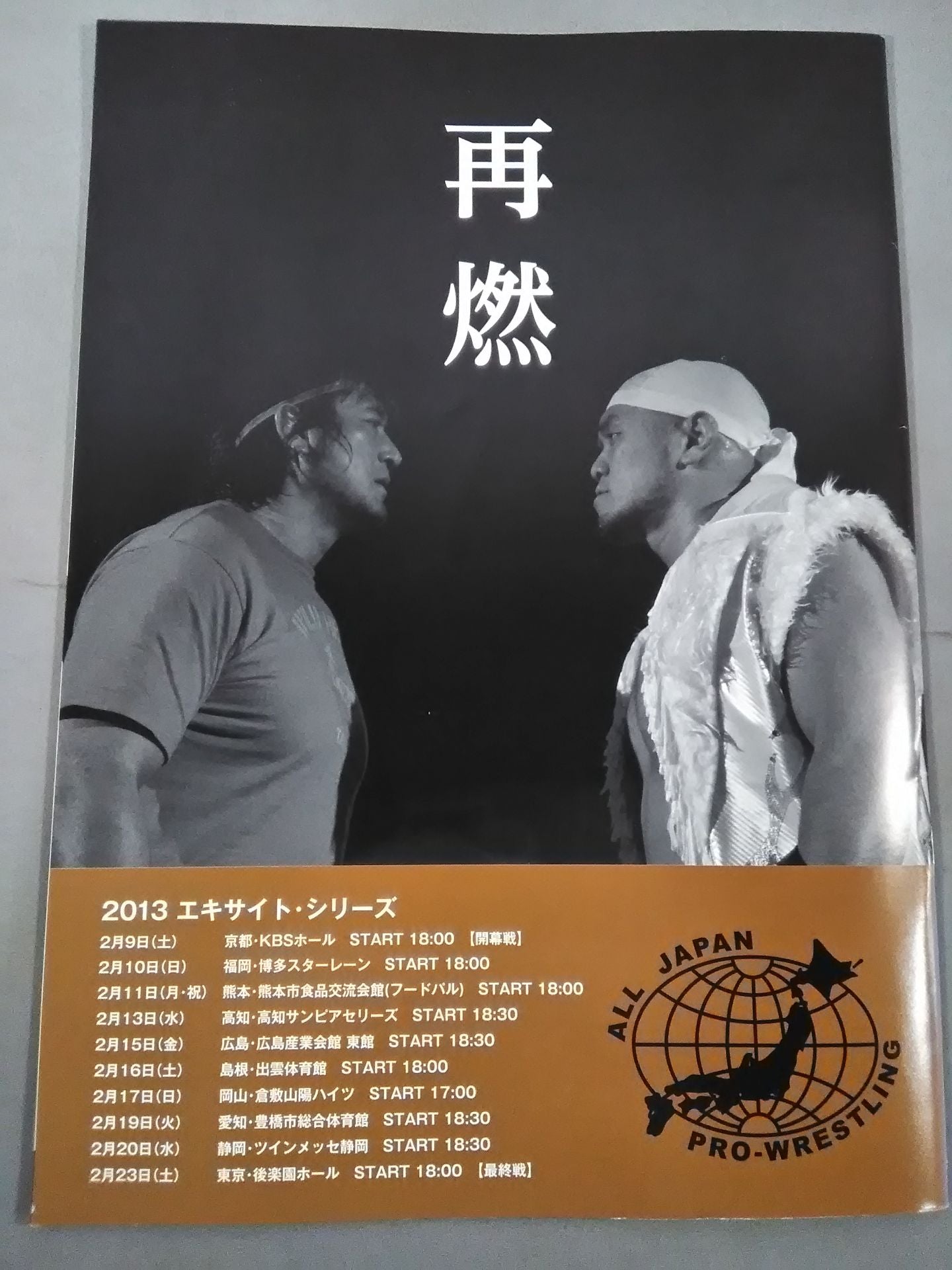 2013エキサイト・シリーズ