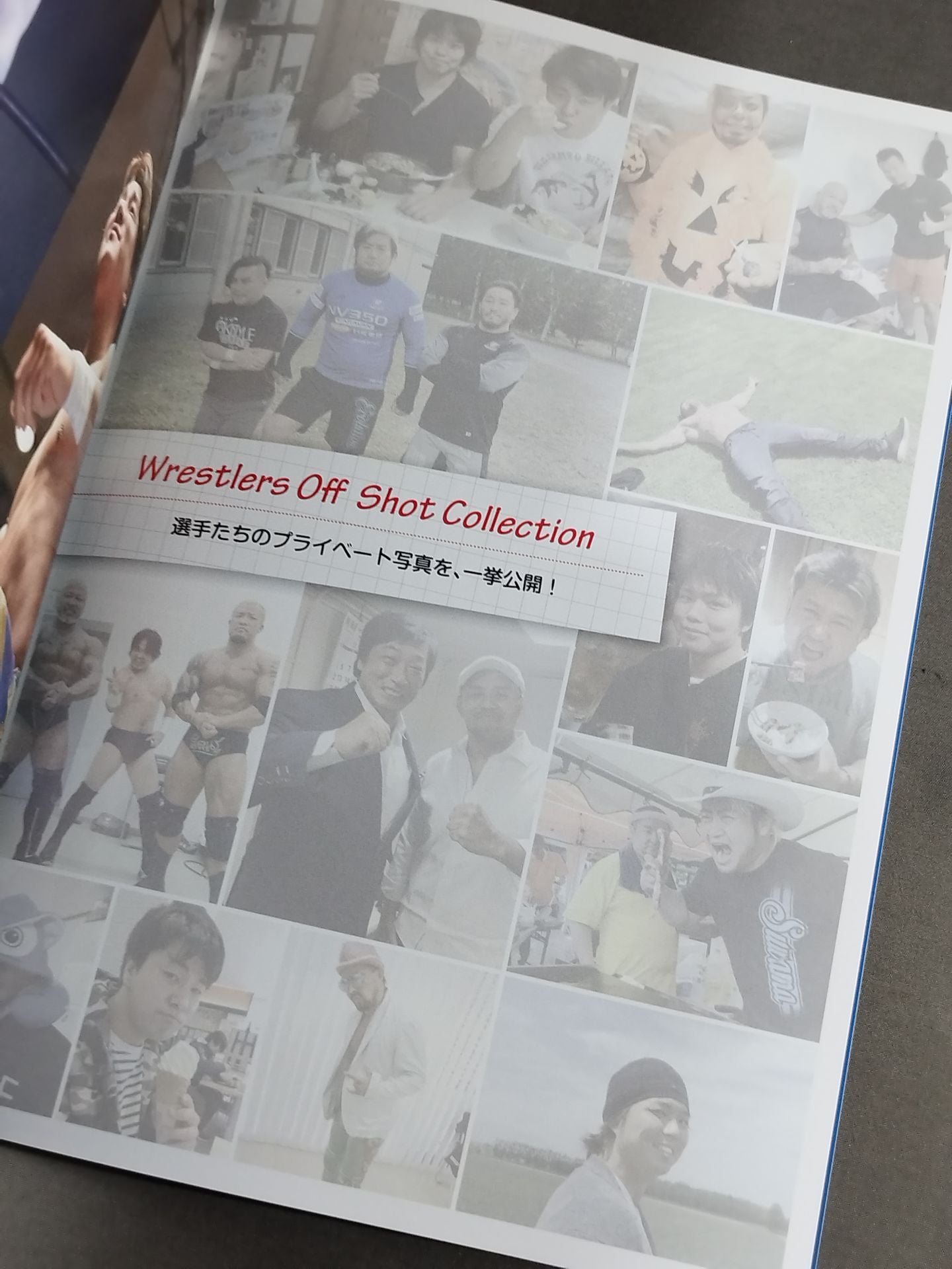 All Japan Pro Wrestling Magazine 2017 / ALL-JAPAN PRO- Wrestling MAGAZINE 2017