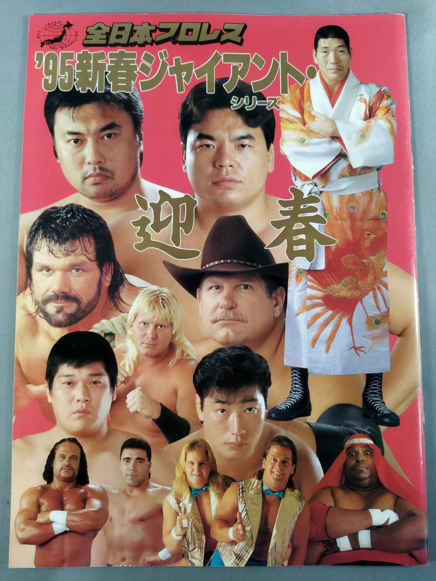 全日本プロレス 新春ジャイアントシリーズ2003(2) [DVD](中古品) 95新春ジャイアント・シリーズ / 迎春 – 闘道館