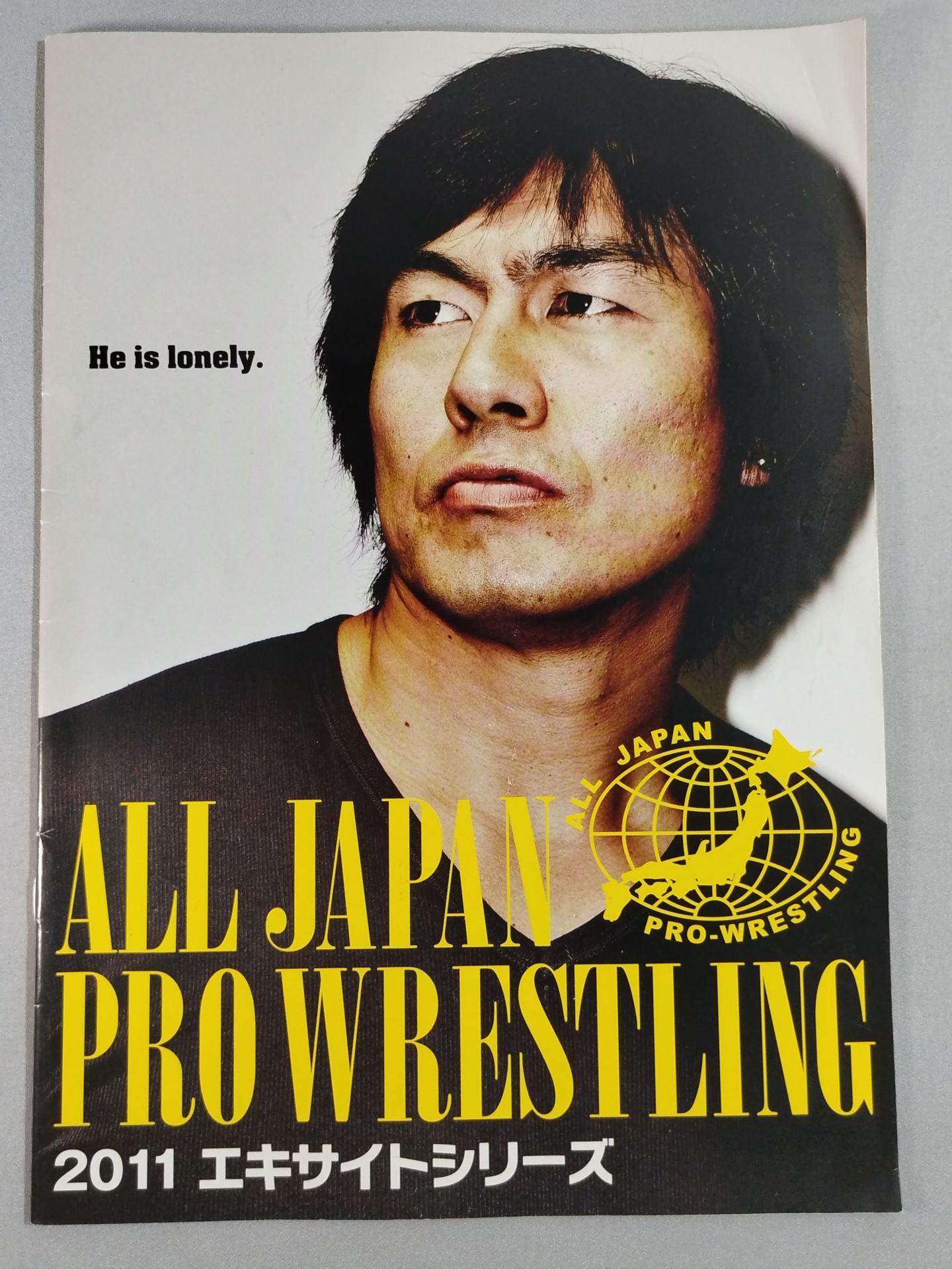 2011エキサイトシリーズ