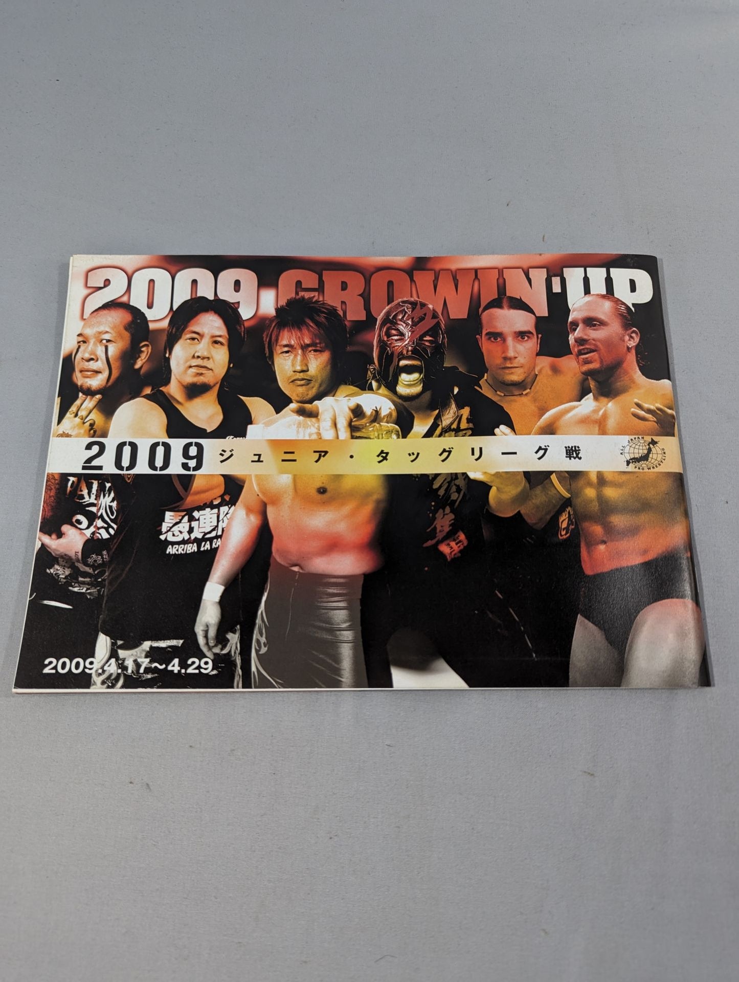 【半券付】2009グローウィンアップ / 2009 GROWIN’UP