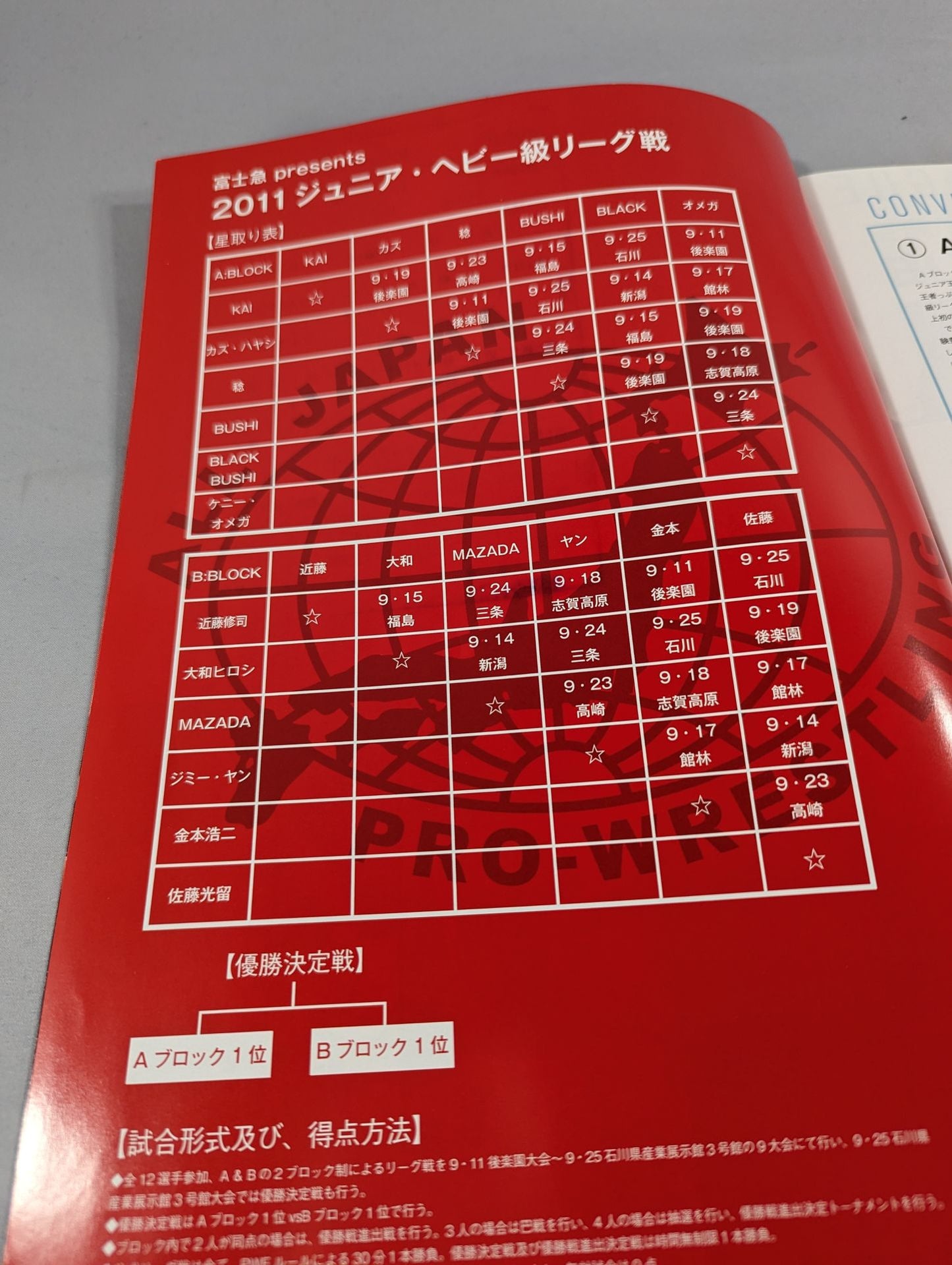 2011フラッシングツアー / 2011 FLASHING TOUR