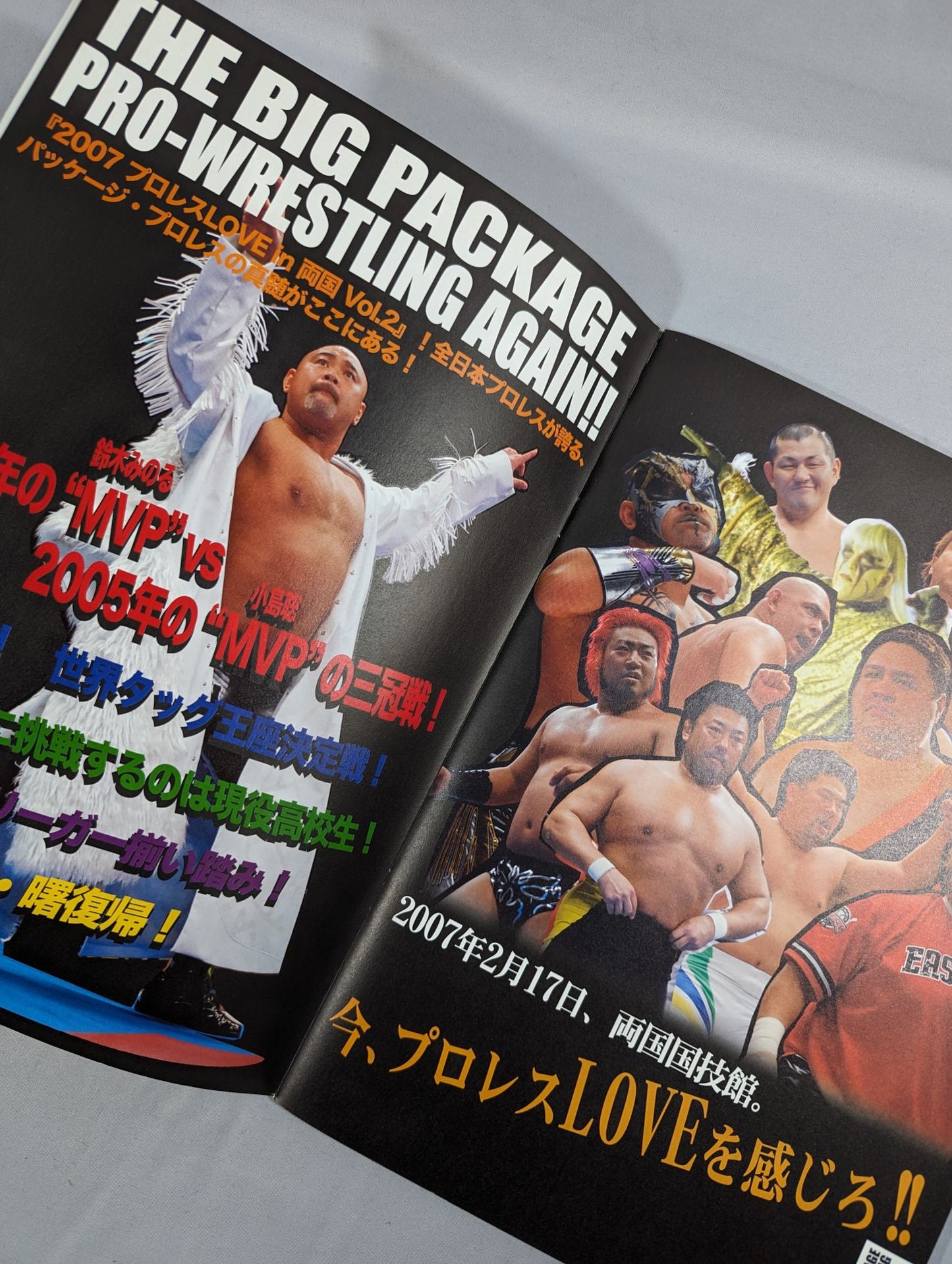 Pro Wrestling LOVE in Ryogoku Vol.2