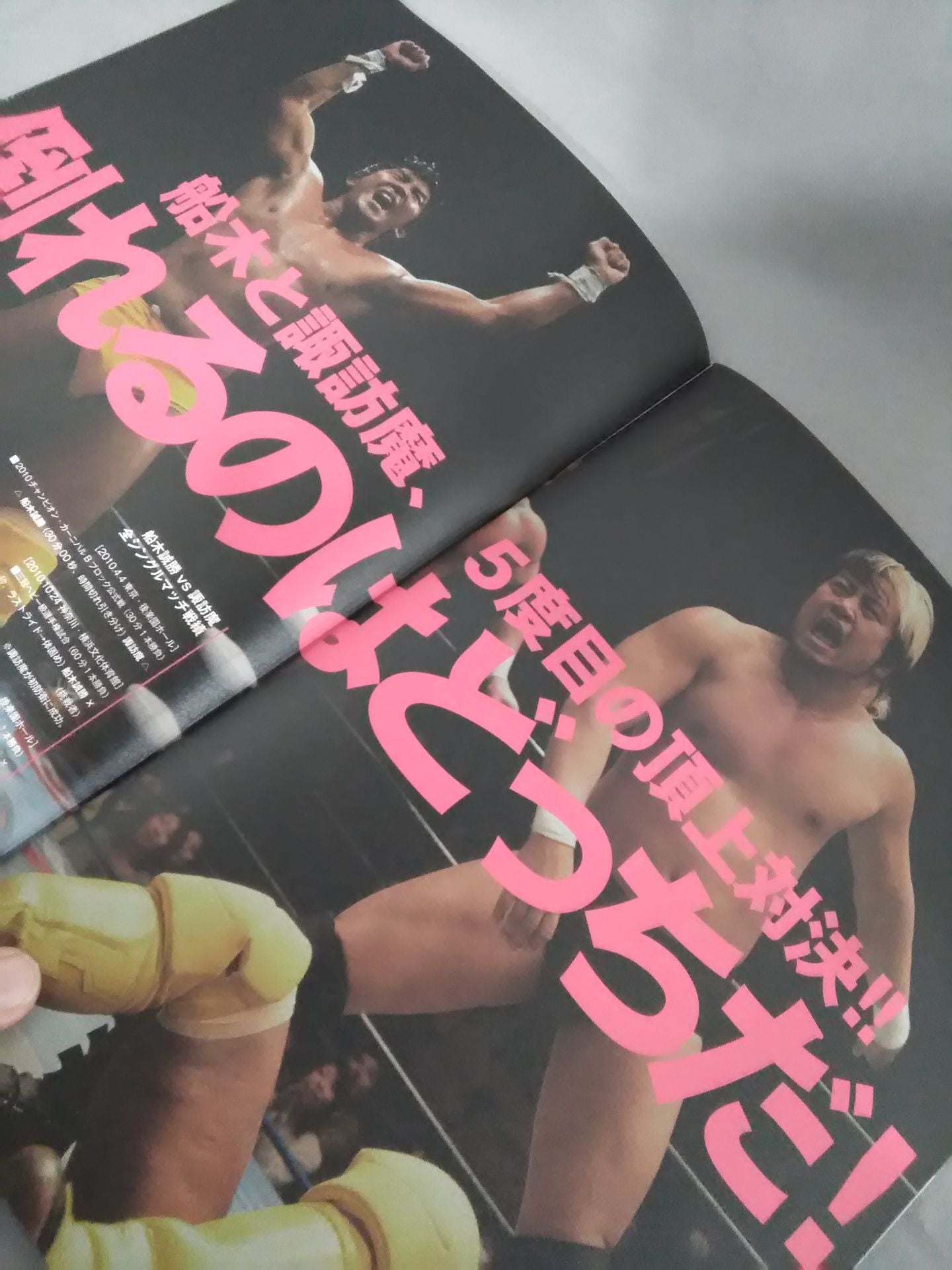 2013Pro Wrestling LOVE in Ryogoku BASIC&DYNAMIC