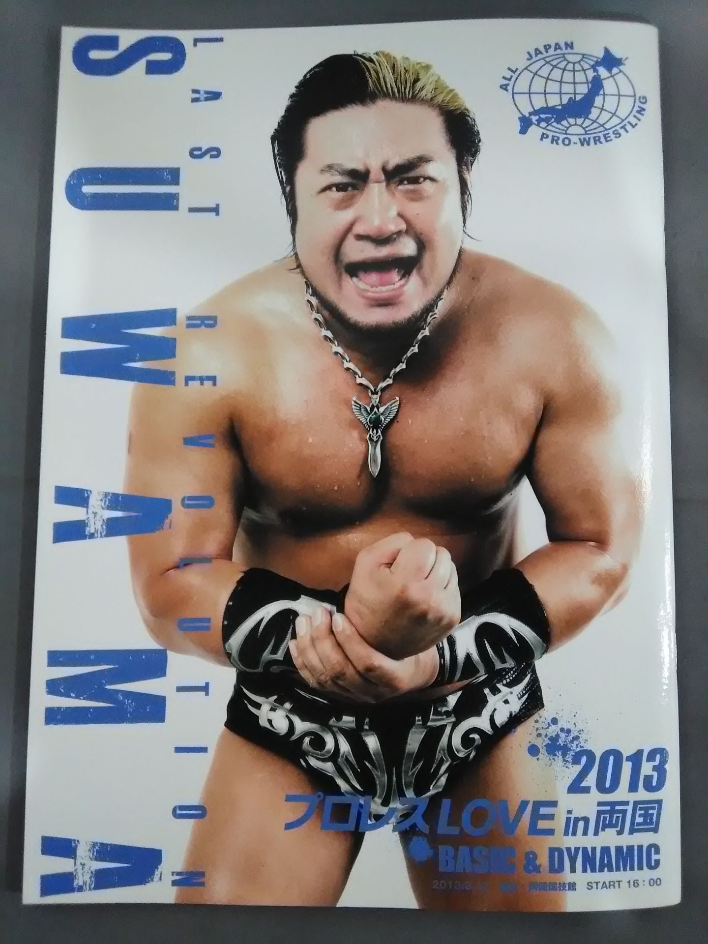 2013Pro Wrestling LOVE in Ryogoku BASIC&DYNAMIC