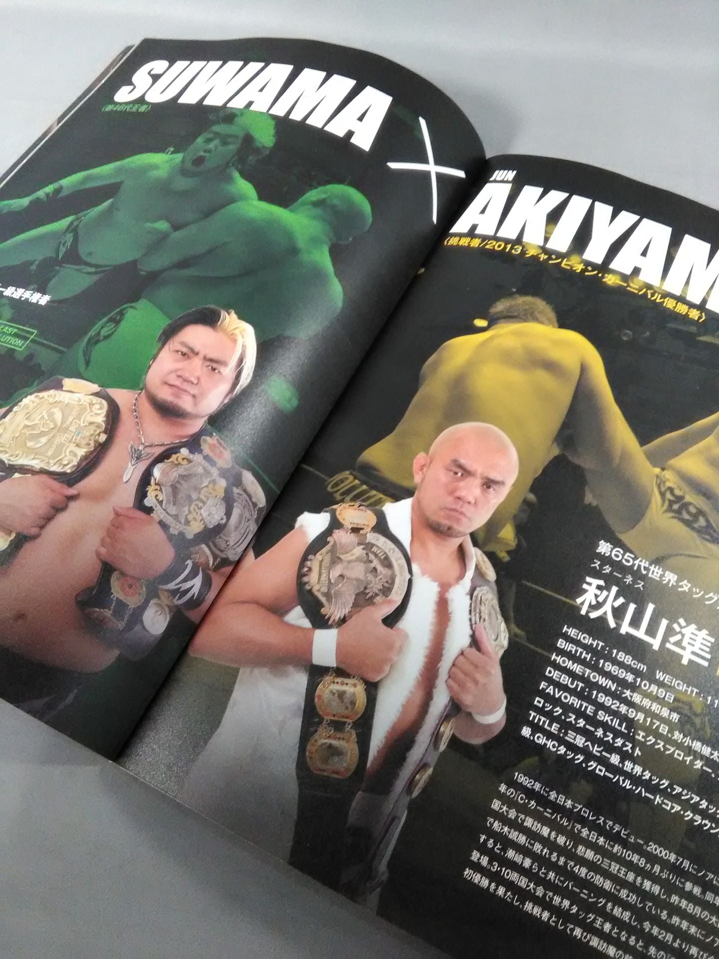 2013プロレスLOVE in 両国 ~an abiding belief~